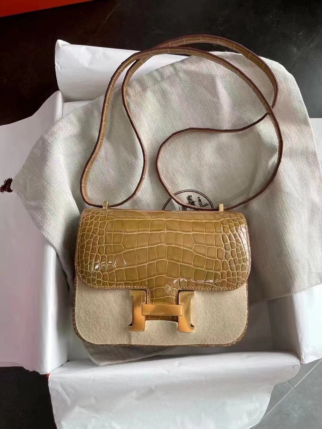 HM Constance 18 Shiny alligator crocodile  1i Beige