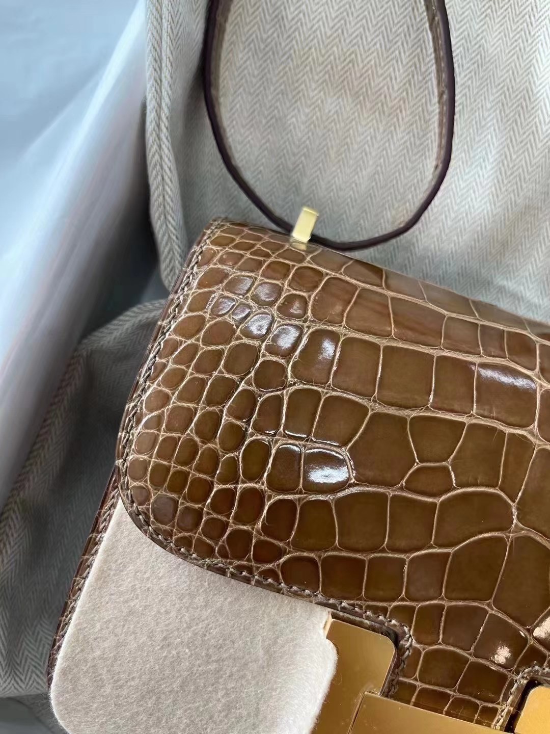 CONSTANCE 鳄鱼19cm 蜜糖棕 31 Miel Crocodile