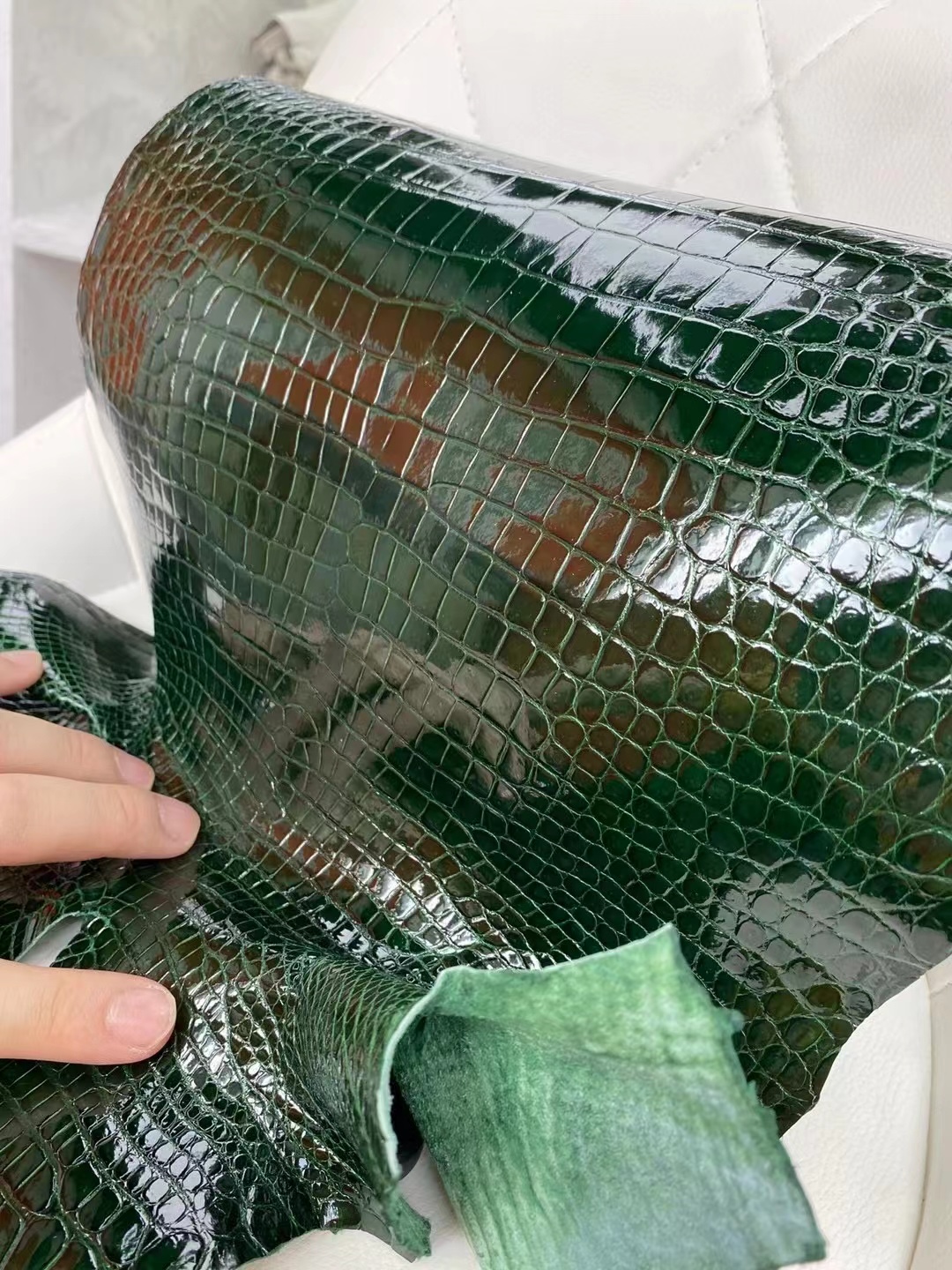 新到皮 亮面倒V 澳洲湾鳄🐊 67 Vert Fonce 祖母绿 Shiny porosus crocodile  🉑订制：BK 25cm、KL 25cm、接受订制👏