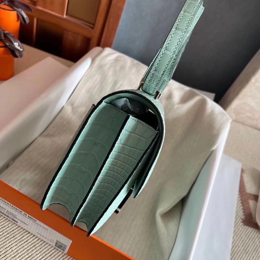 HM constance  19 crocodile 雾面美洲  6U Vert Deau 薄荷绿  银