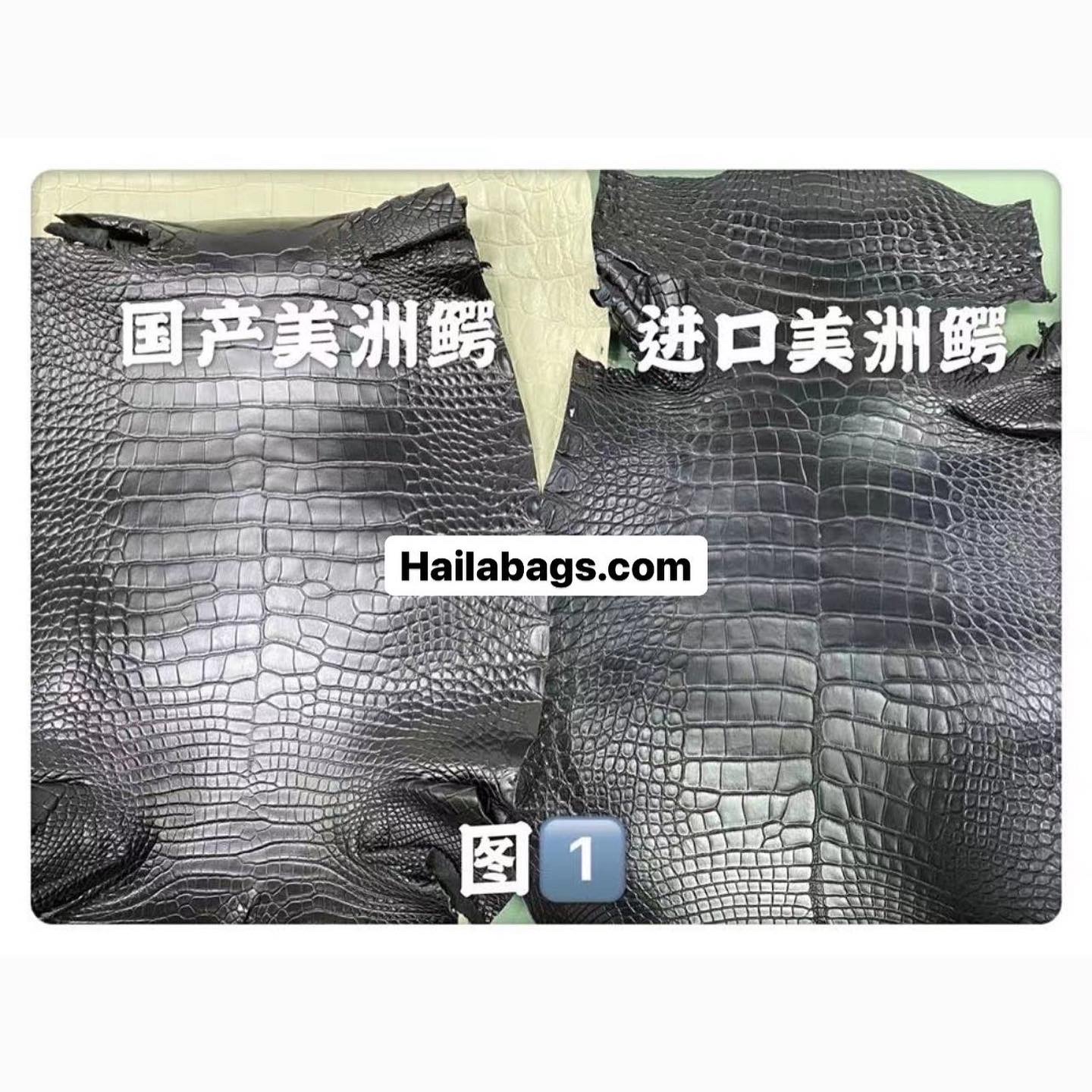 Crocodile leather from my factory-HaiLaBags Crocodile leather from my factory