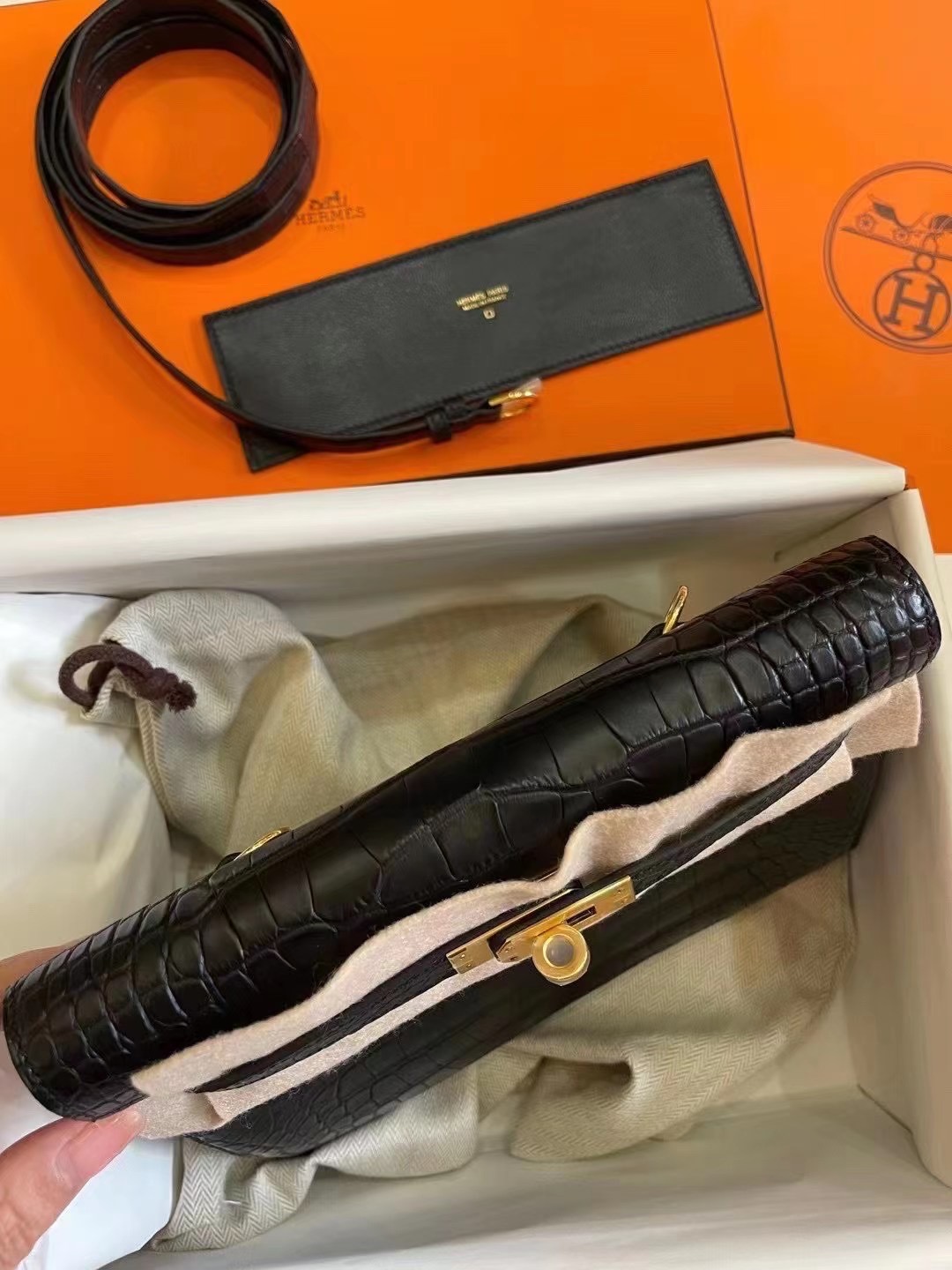 Kuwait HM KL Danse Crocodile Leather89 Noir