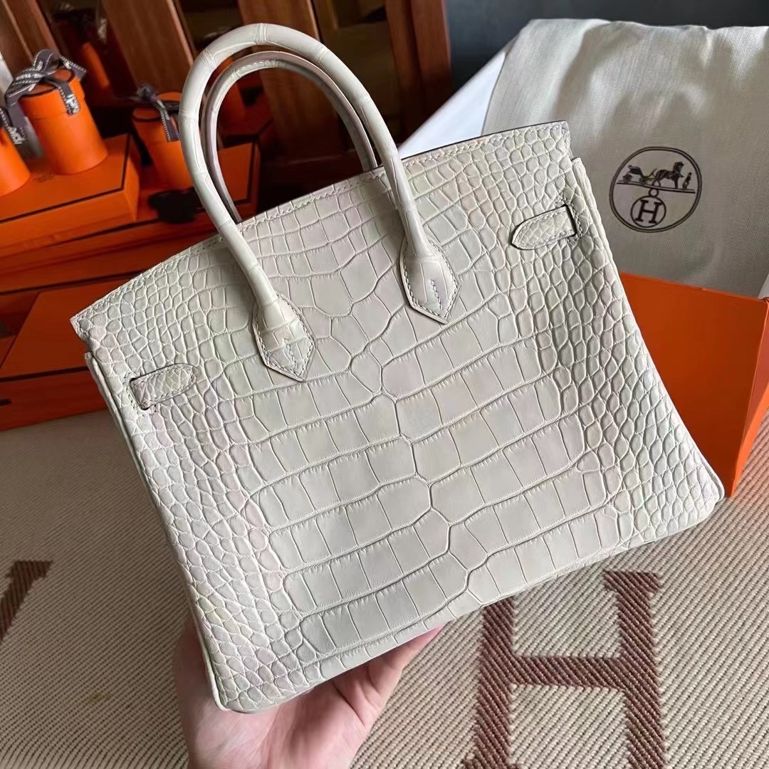 BK  25cm 雾面美洲 Alligator 8L 冰川白  银