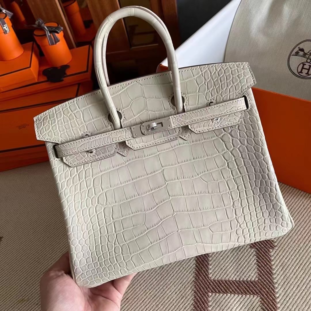 BK  25cm 雾面美洲 Alligator 8L 冰川白  银