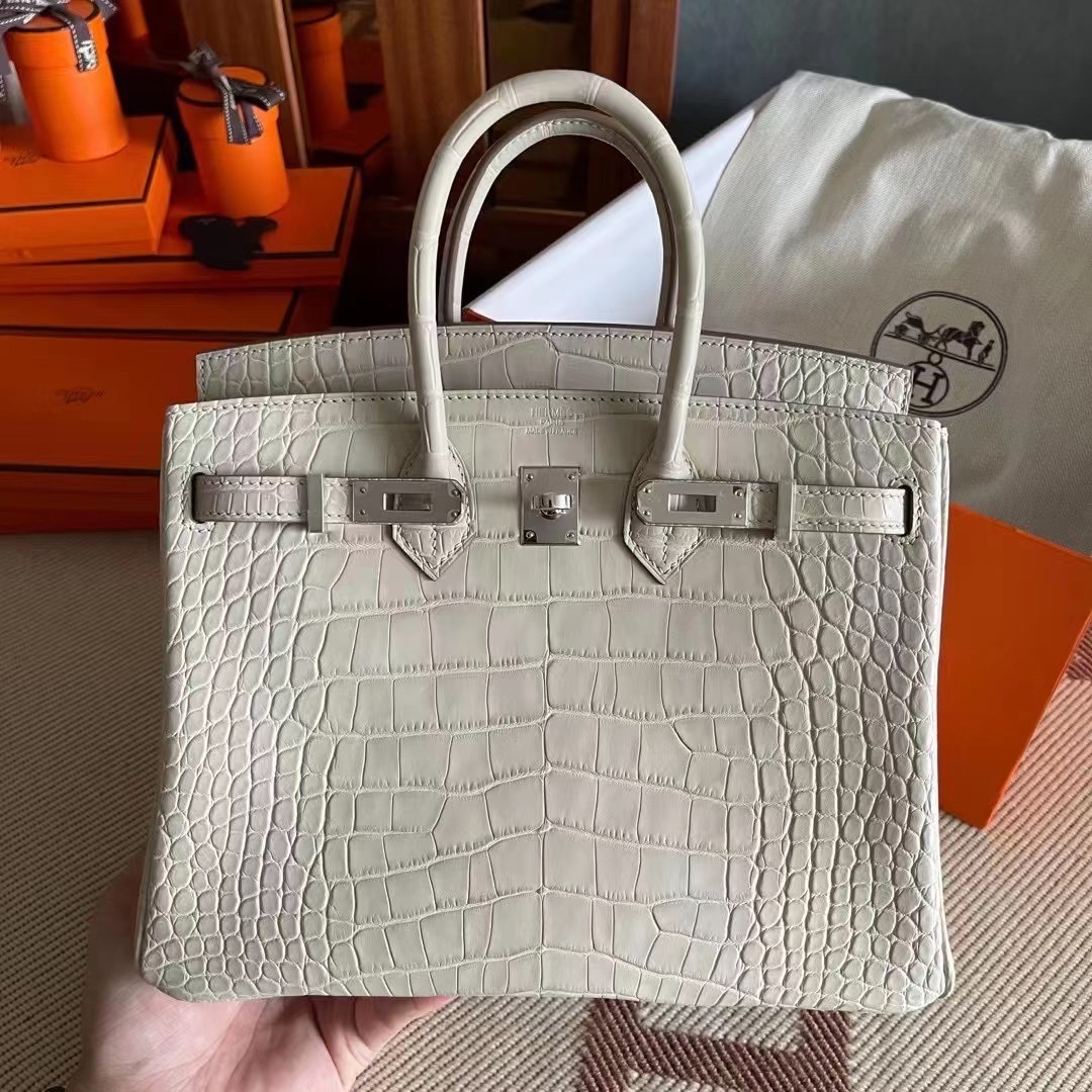 BK  25cm 雾面美洲 Alligator 8L 冰川白  银