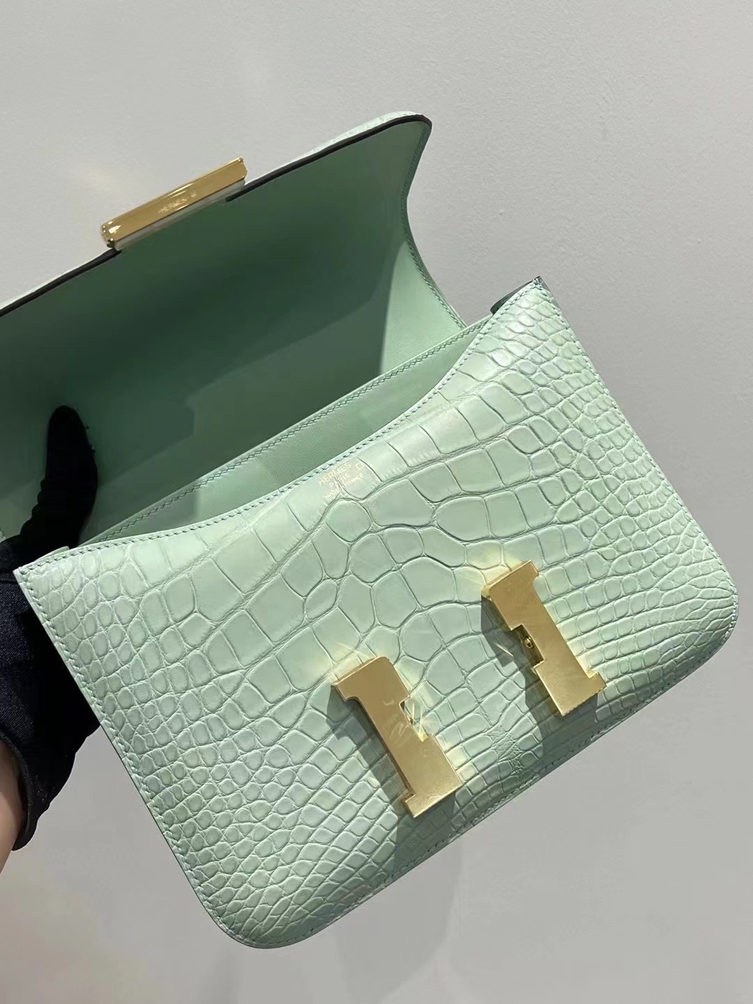 Saudi Arabia HM Constance 24 Matte Alligator Crocodile 6U Peppermint Green