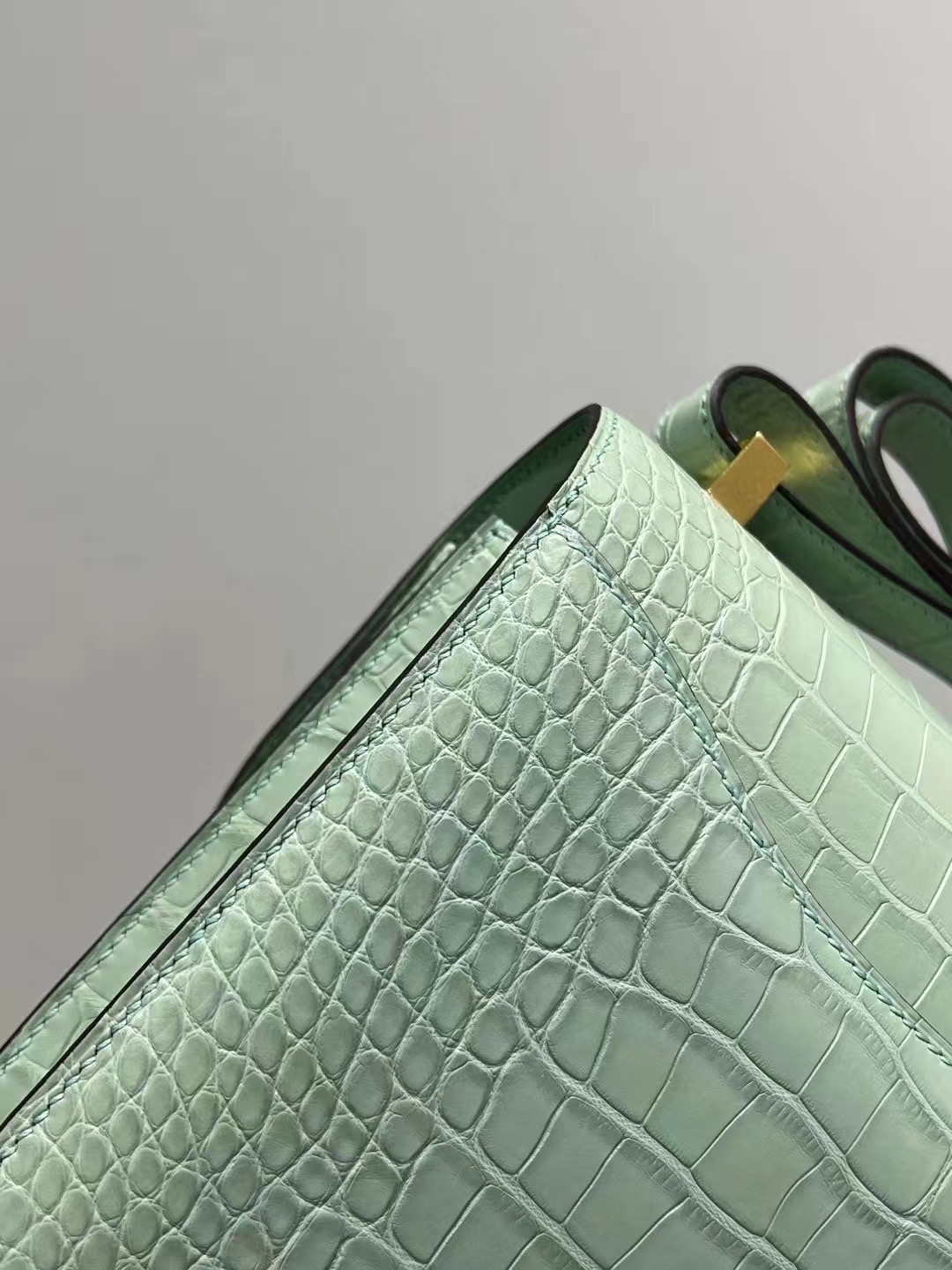Saudi Arabia HM Constance 24 Matte Alligator Crocodile 6U Peppermint Green