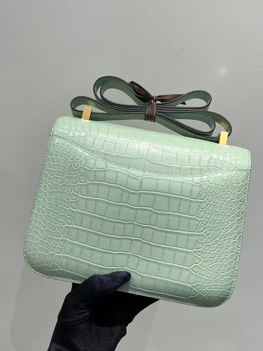Saudi Arabia HM Constance 24 Matte Alligator Crocodile 6U Peppermint Green