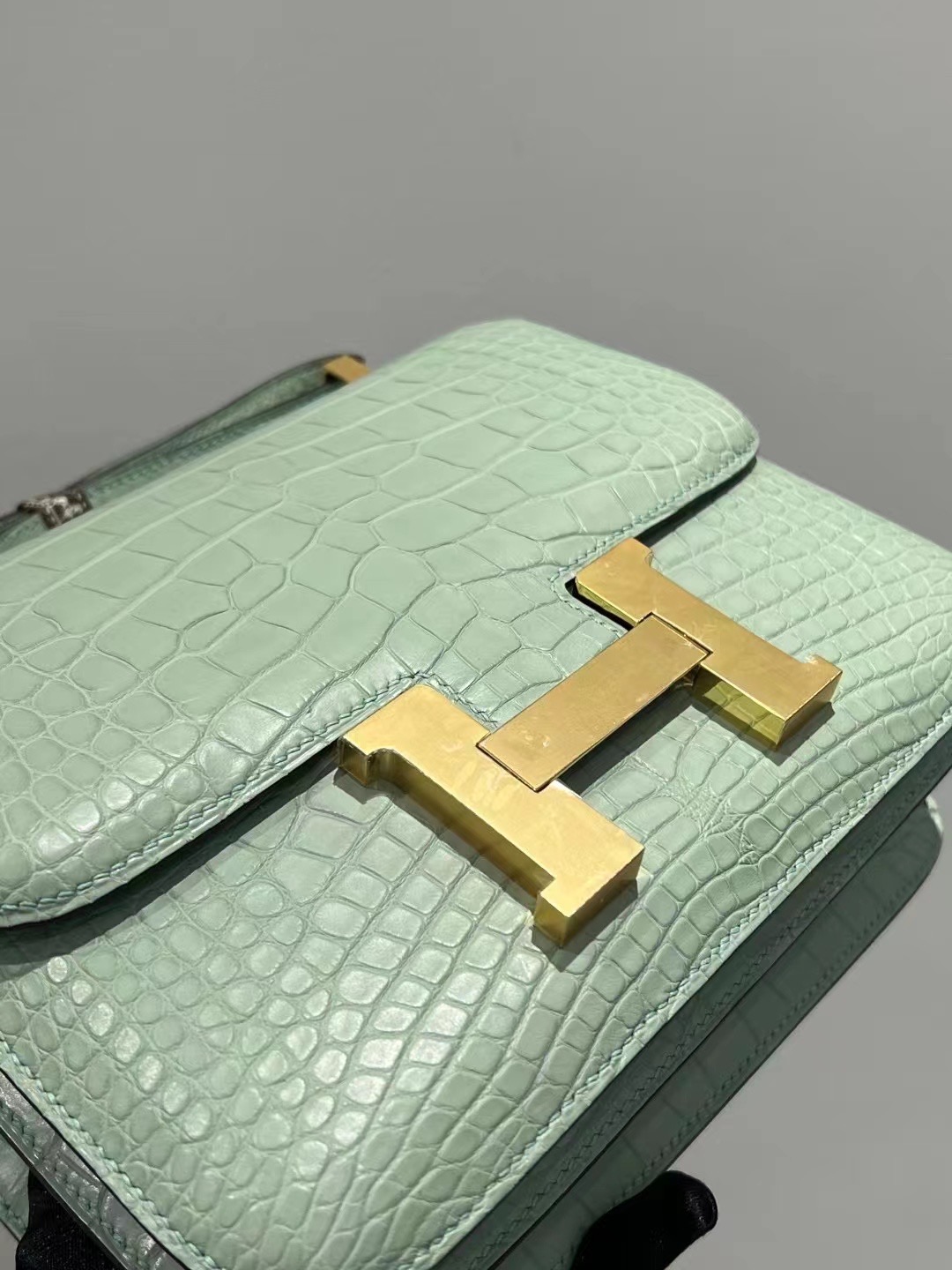 Saudi Arabia HM Constance 24 Matte Alligator Crocodile 6U Peppermint Green