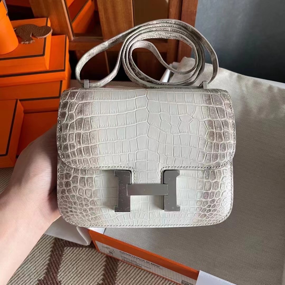 United Arab Emirates HM Constance 24cm 喜马拉雅 01 BLANC Niloticus Crocodile Himalayan