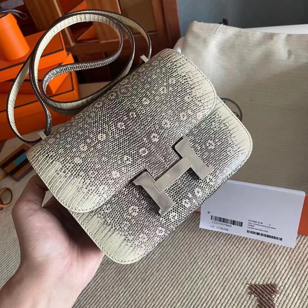 constance 19 lizard 蜥蜴皮 1B自然色  银