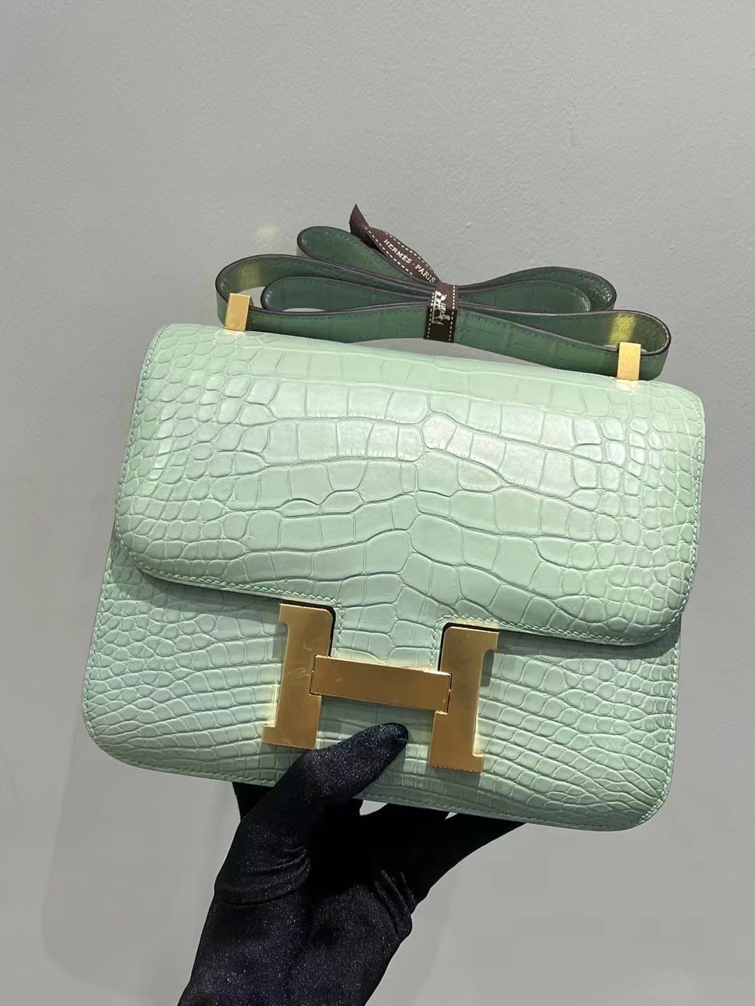 Saudi Arabia HM Constance 24 Matte Alligator Crocodile 6U Peppermint Green