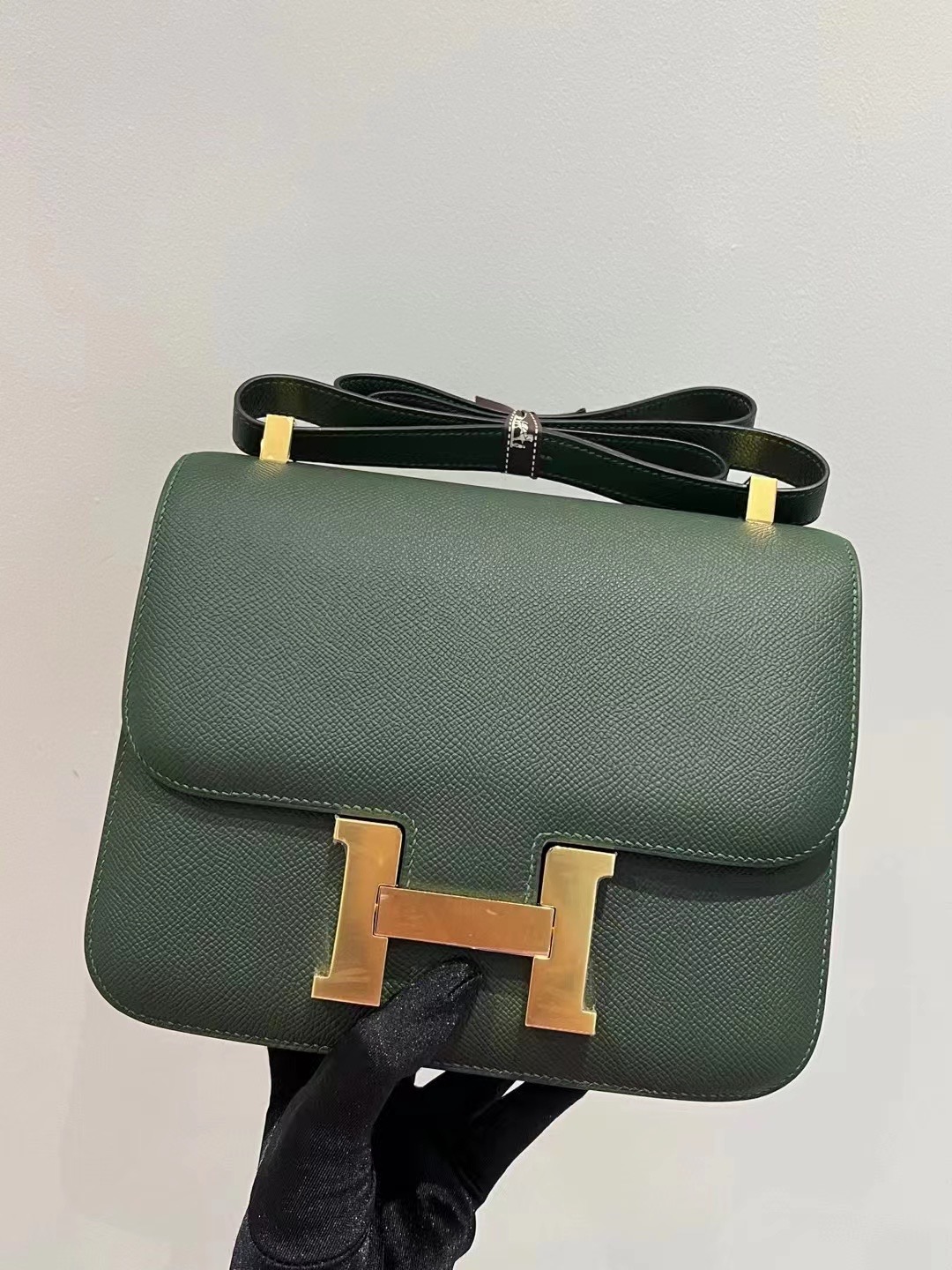 Constance 24cm 2Q Vert Argleis 英国绿