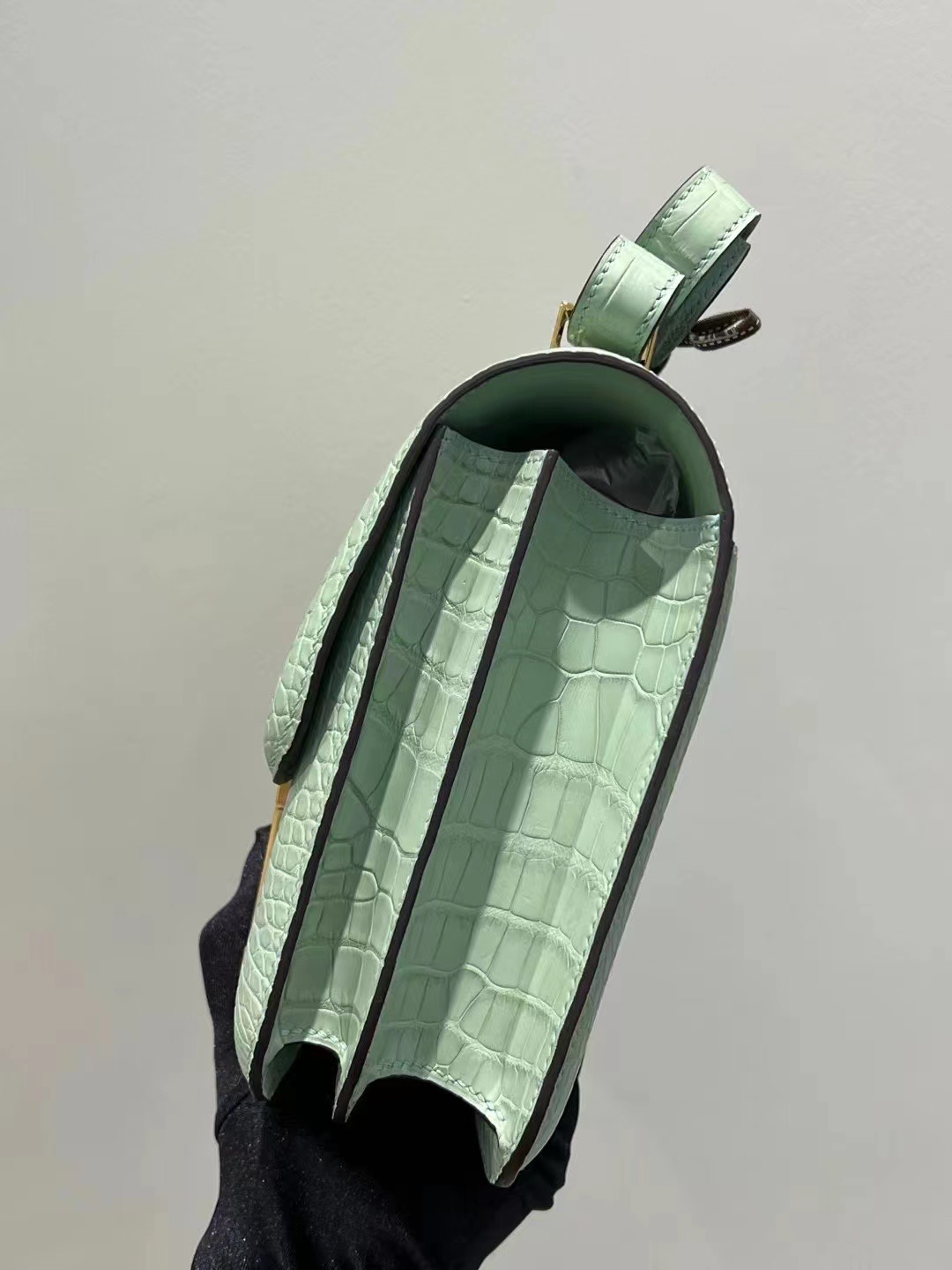 Saudi Arabia HM Constance 24 Matte Alligator Crocodile 6U Peppermint Green
