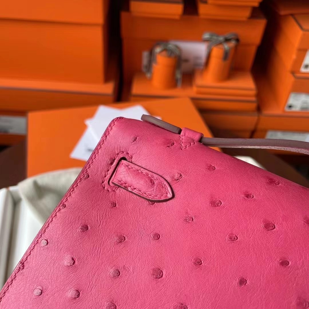 UAE United Arab Emirates HM Minikl pochette E5 Rose Tyren Ostrich