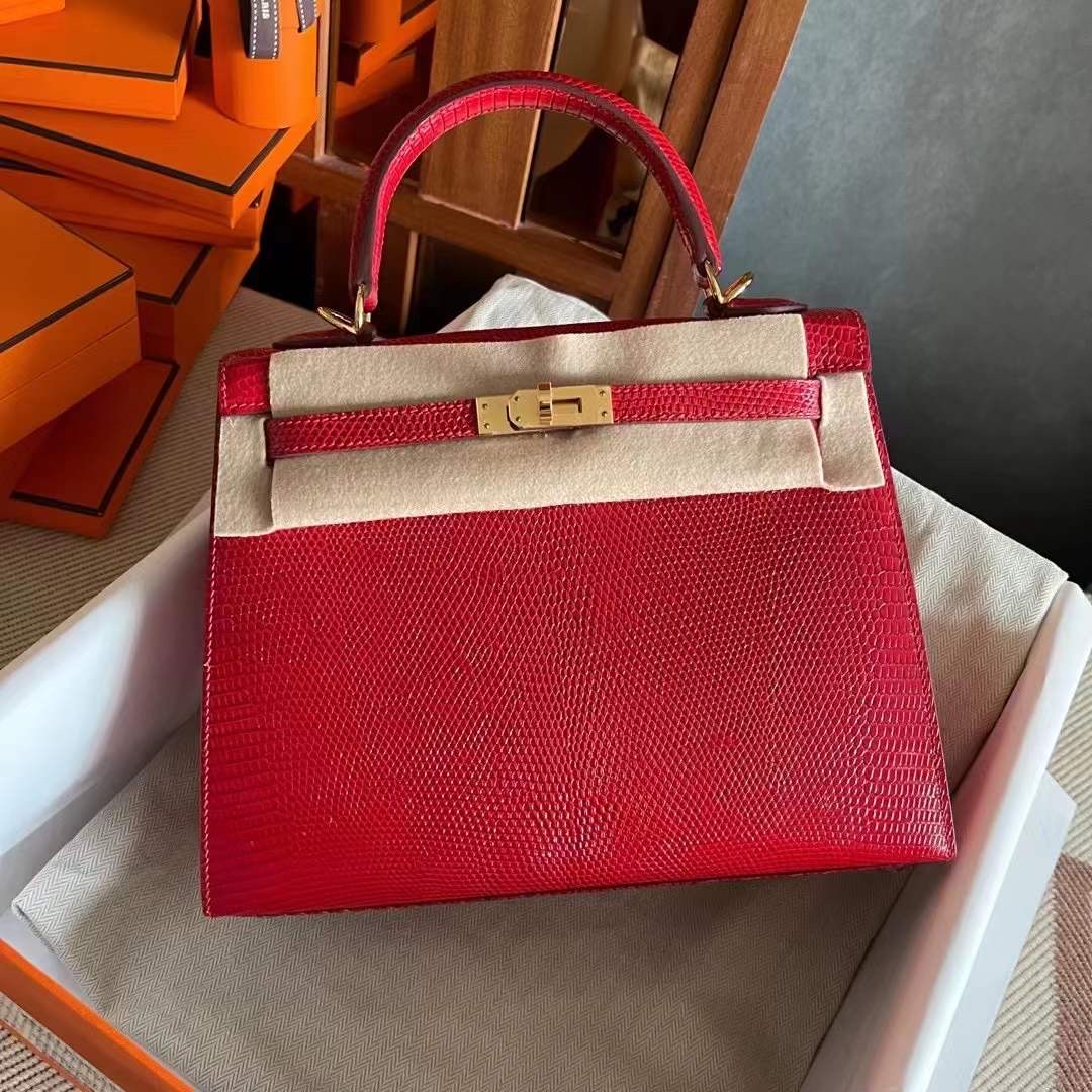 Saudi Arabia HM KL 25 Lizard 蜥蜴皮 Q5 Rose casaque  国旗红 金