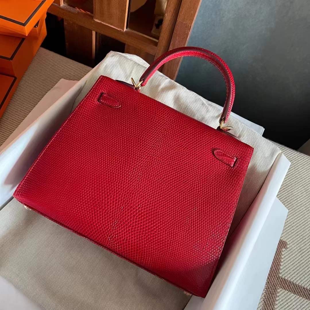 Saudi Arabia HM KL 25 Lizard 蜥蜴皮 Q5 Rose casaque  国旗红 金