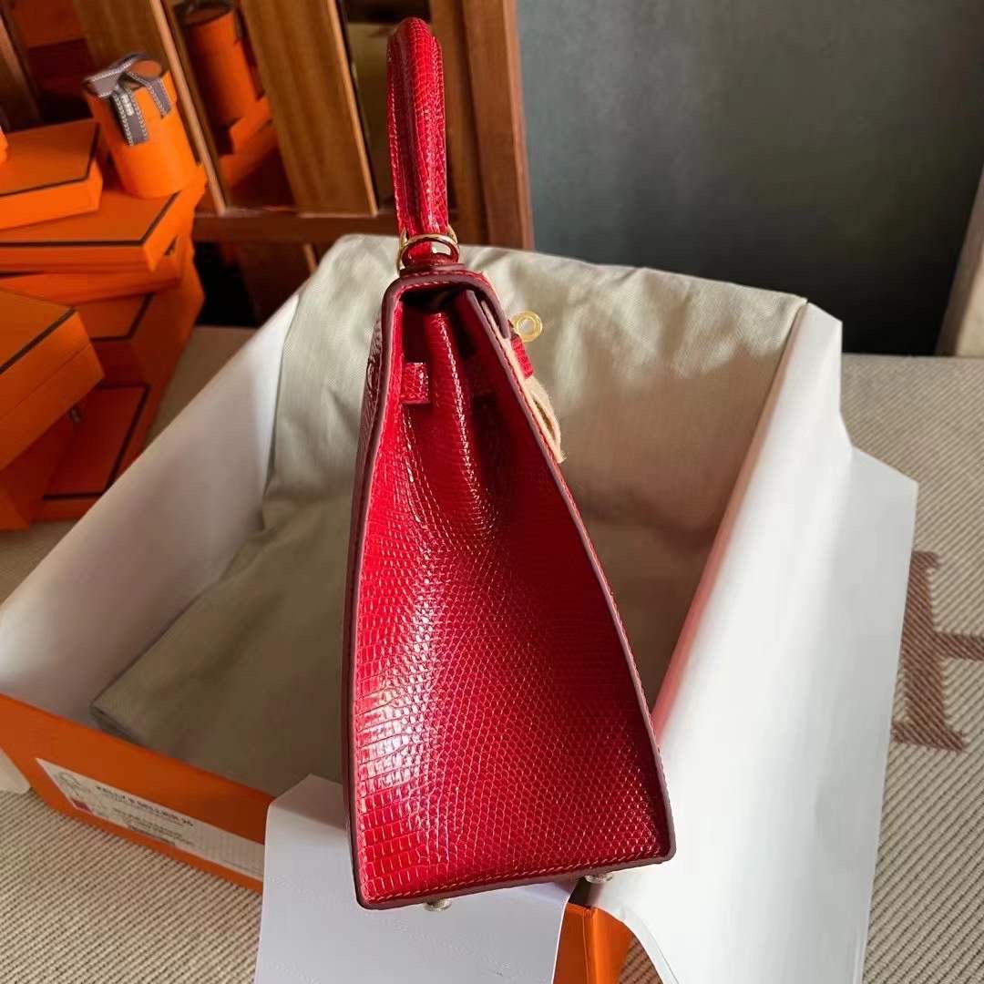 Saudi Arabia HM KL 25 Lizard 蜥蜴皮 Q5 Rose casaque  国旗红 金