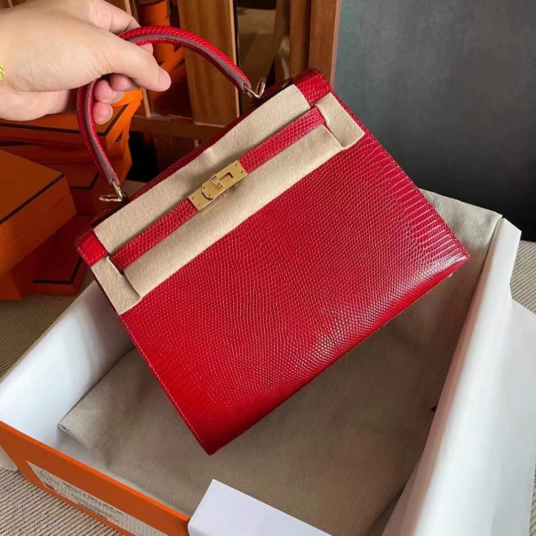 Saudi Arabia HM KL 25 Lizard 蜥蜴皮 Q5 Rose casaque  国旗红 金