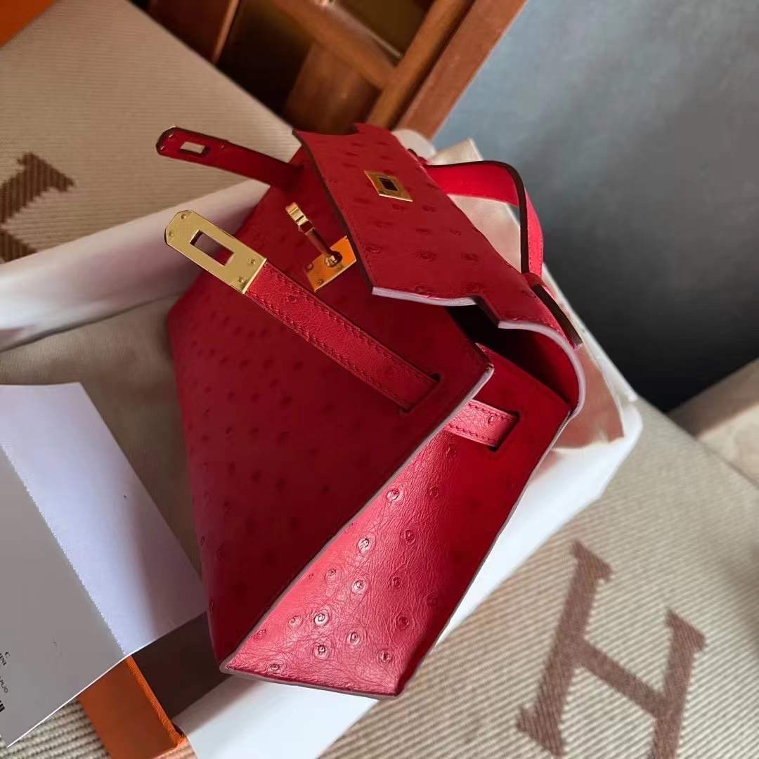 KL pochette Ostrich 鸵鸟皮  95 Braise 法拉利红  金