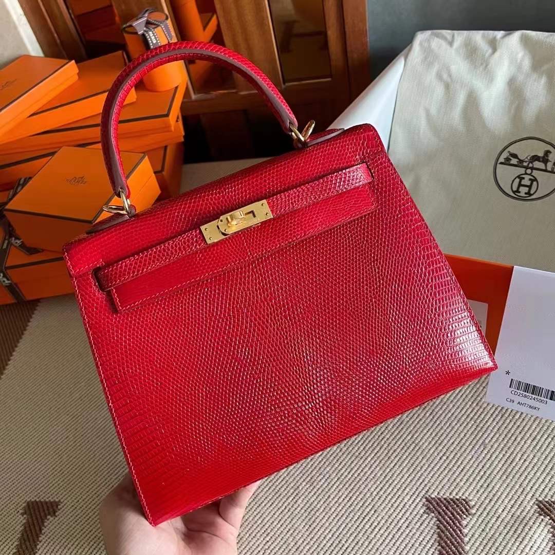 Saudi Arabia HM KL 25 Lizard 蜥蜴皮 Q5 Rose casaque  国旗红 金