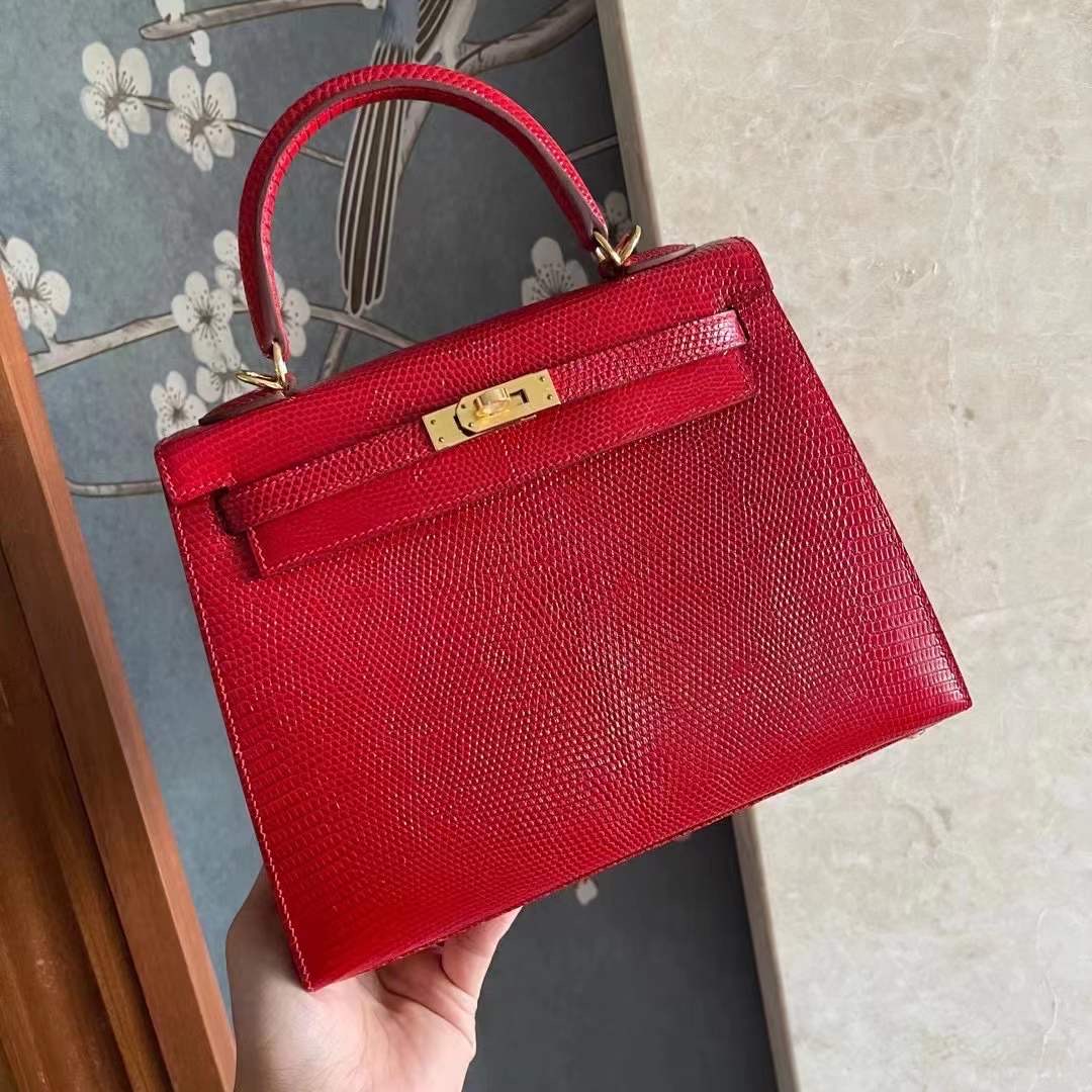 Saudi Arabia HM KL 25 Lizard 蜥蜴皮 Q5 Rose casaque  国旗红 金