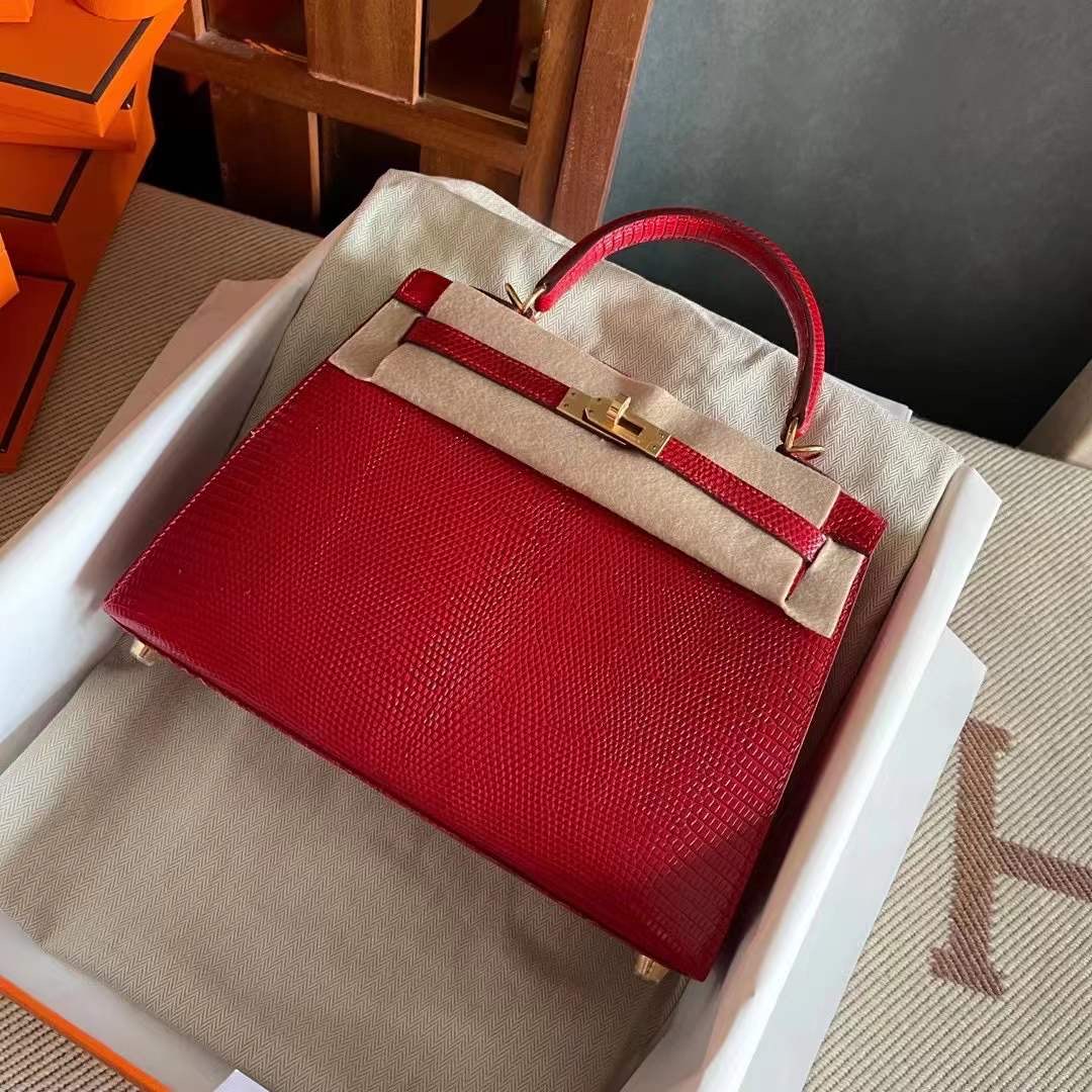 Saudi Arabia HM KL 25 Lizard 蜥蜴皮 Q5 Rose casaque  国旗红 金
