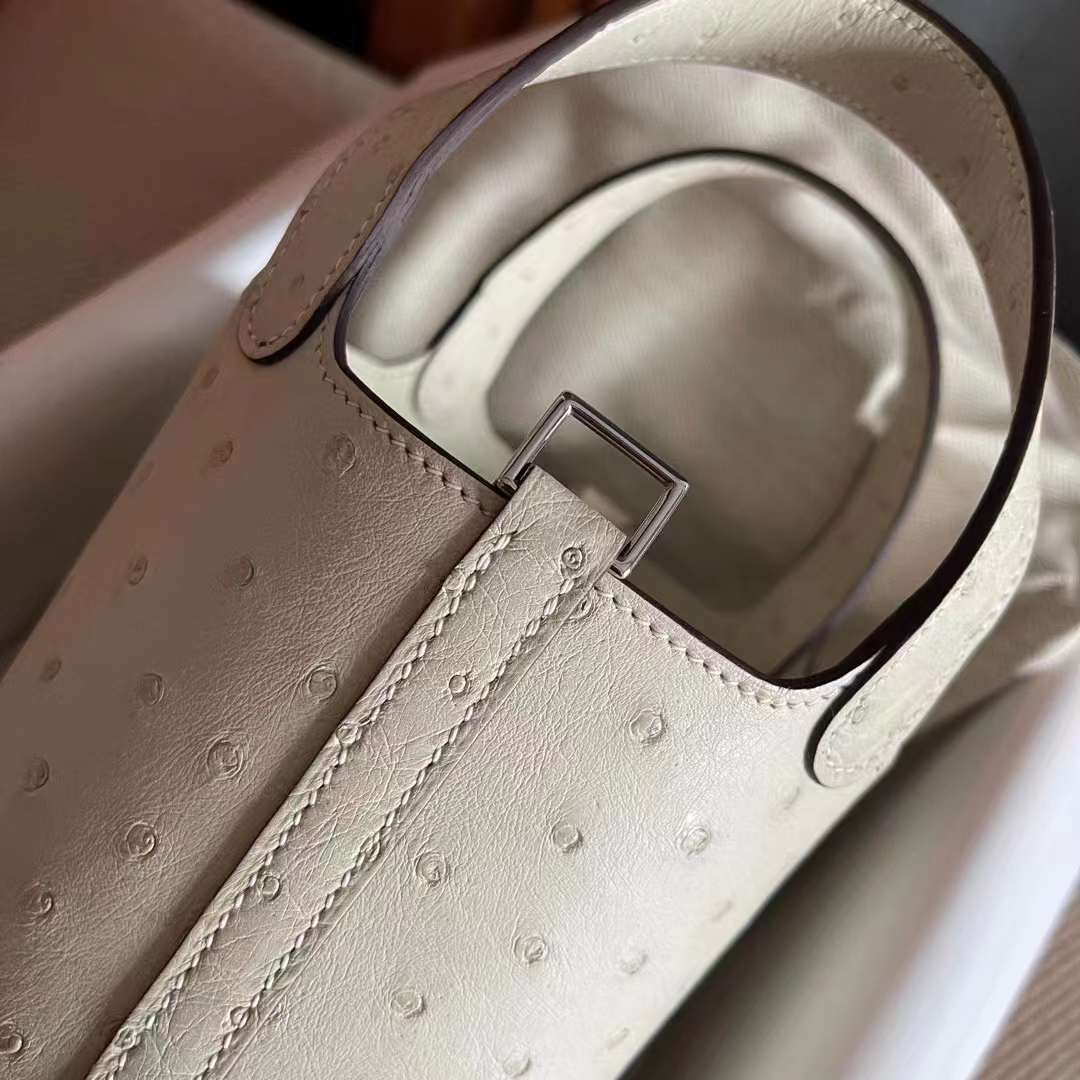 picotin macro ostrich leather 鸵鸟皮 羊毛白  银
