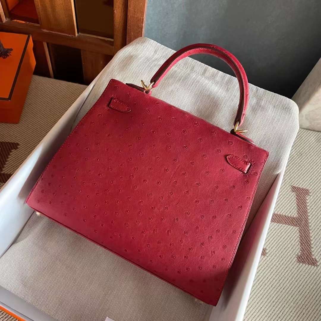 KL 25 ostrich 鸵鸟皮  95 braise 法拉利红 金