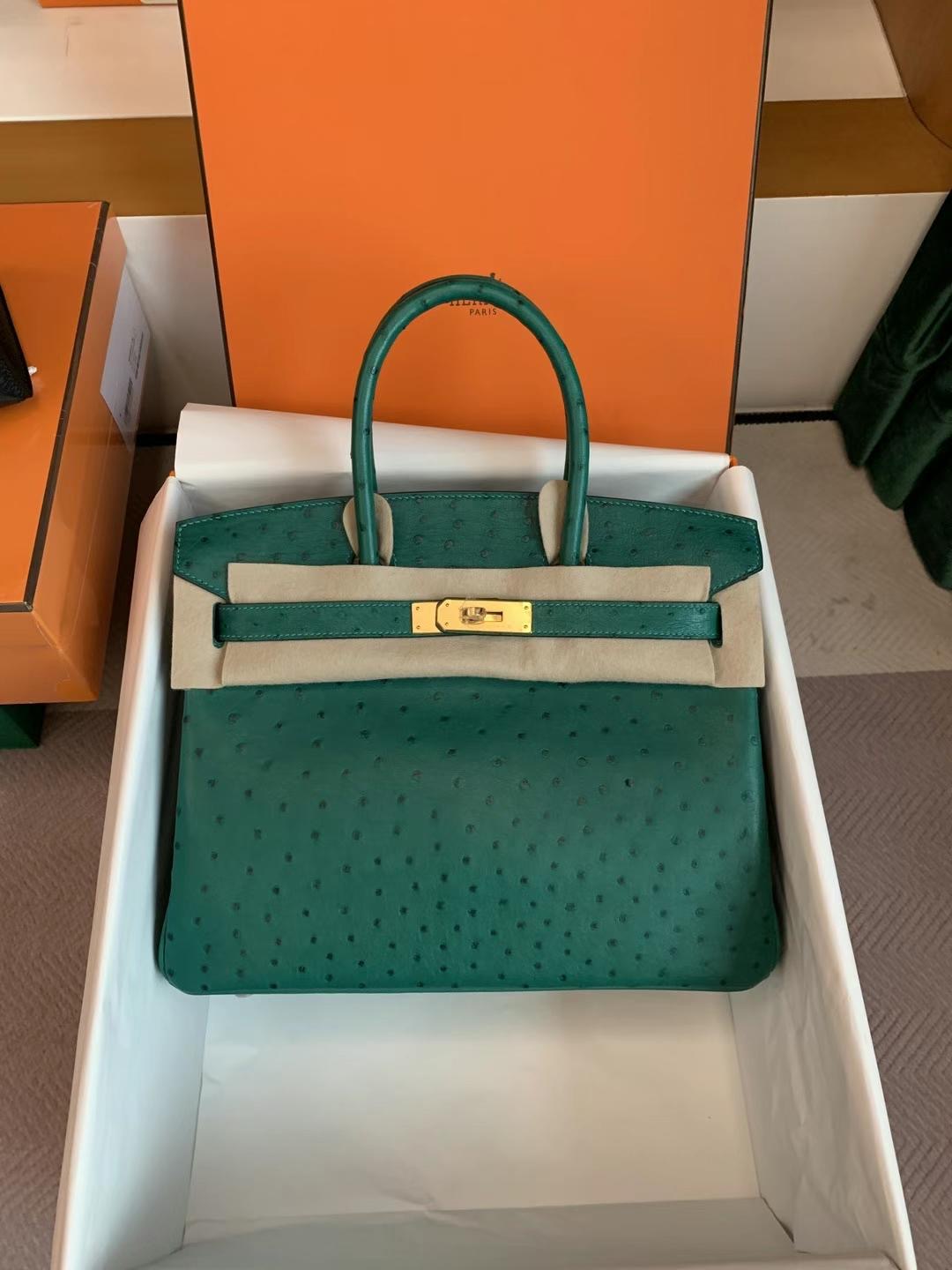 Kuwait hm bk 30cm U4 Vert Vertigo 丝绒绿