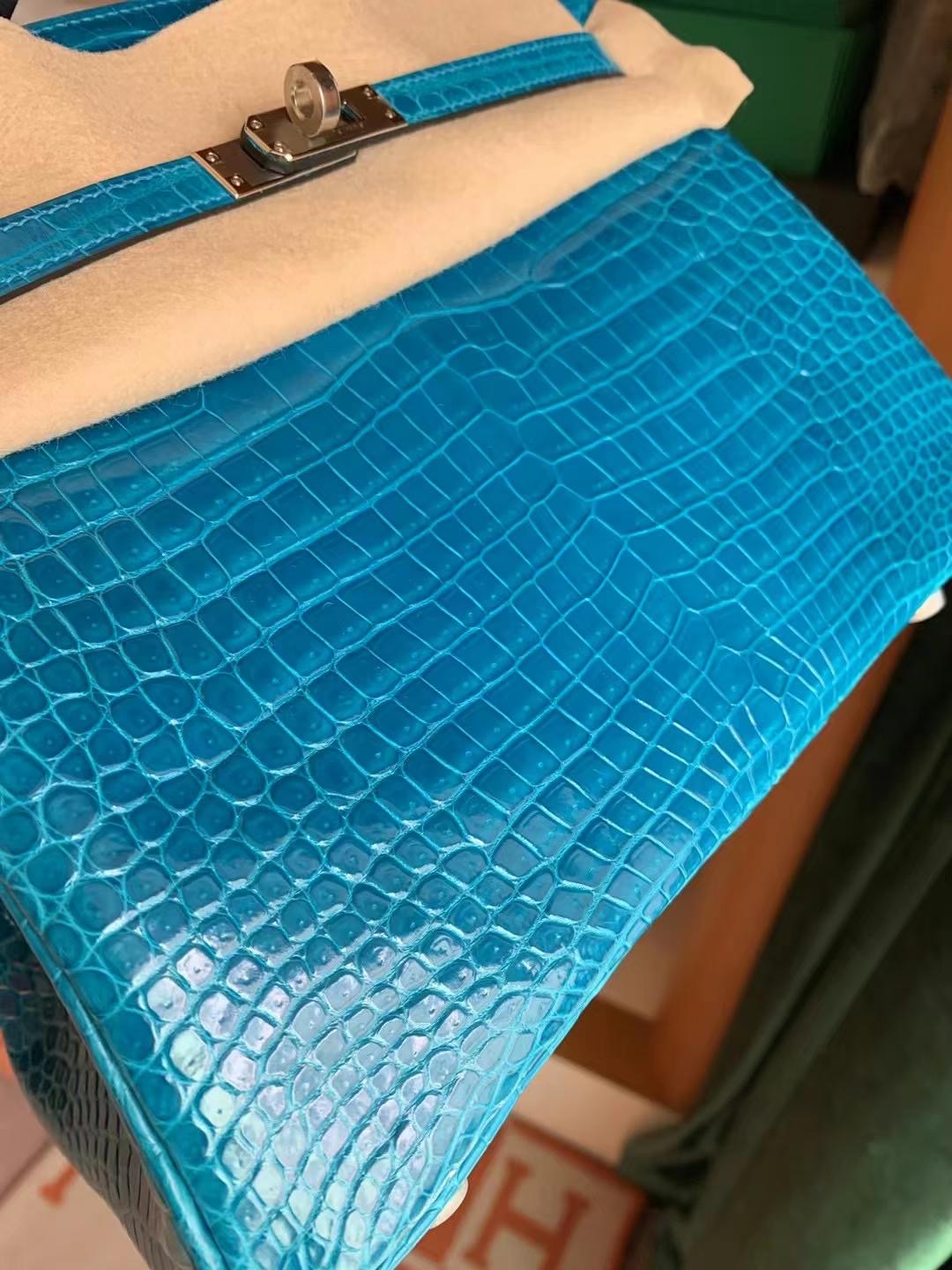 HM BK 25cm 7W Blue Izmir 伊兹密尔蓝  porosus crocodile