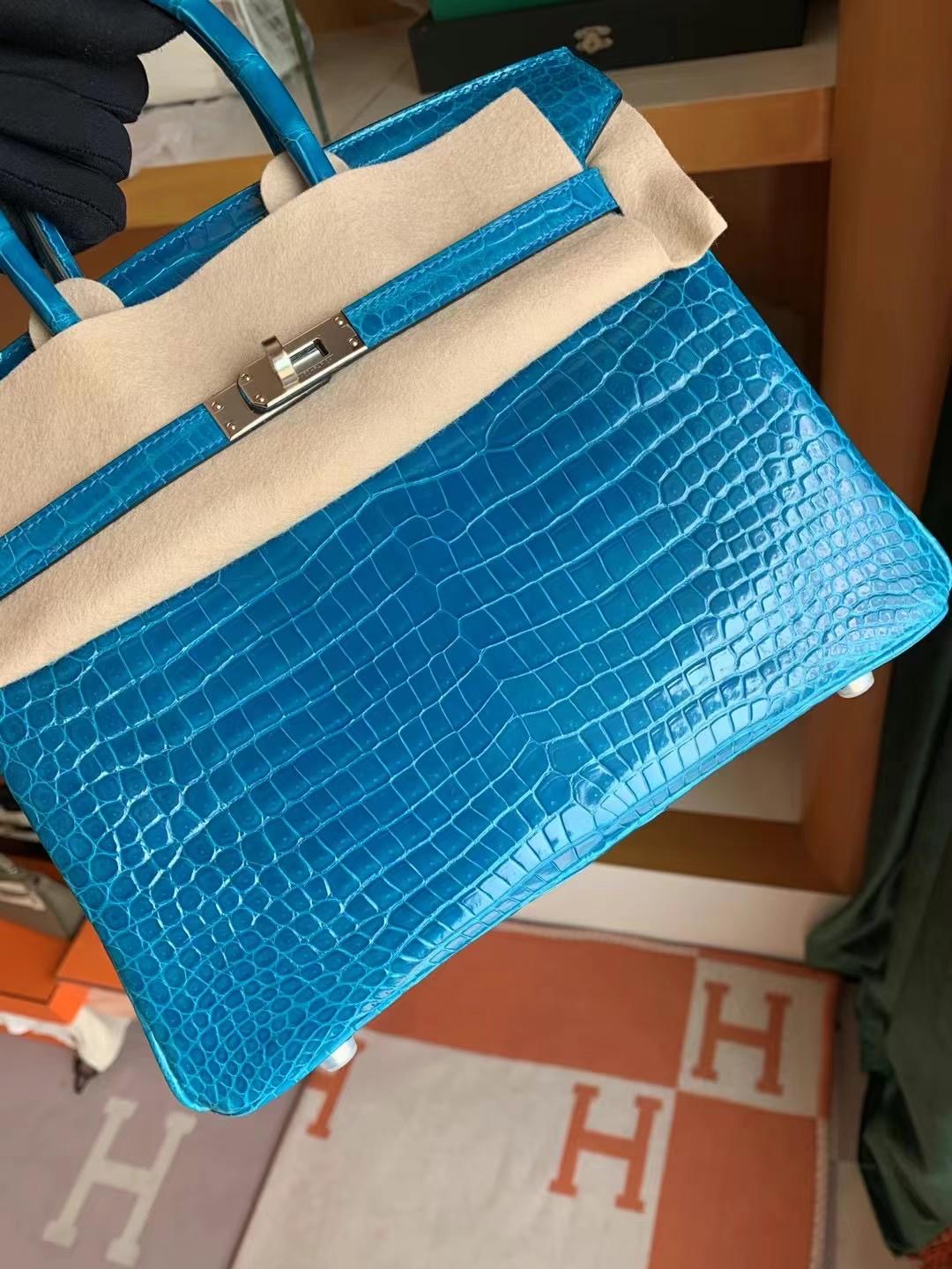 HM BK 25cm 7W Blue Izmir 伊兹密尔蓝  porosus crocodile