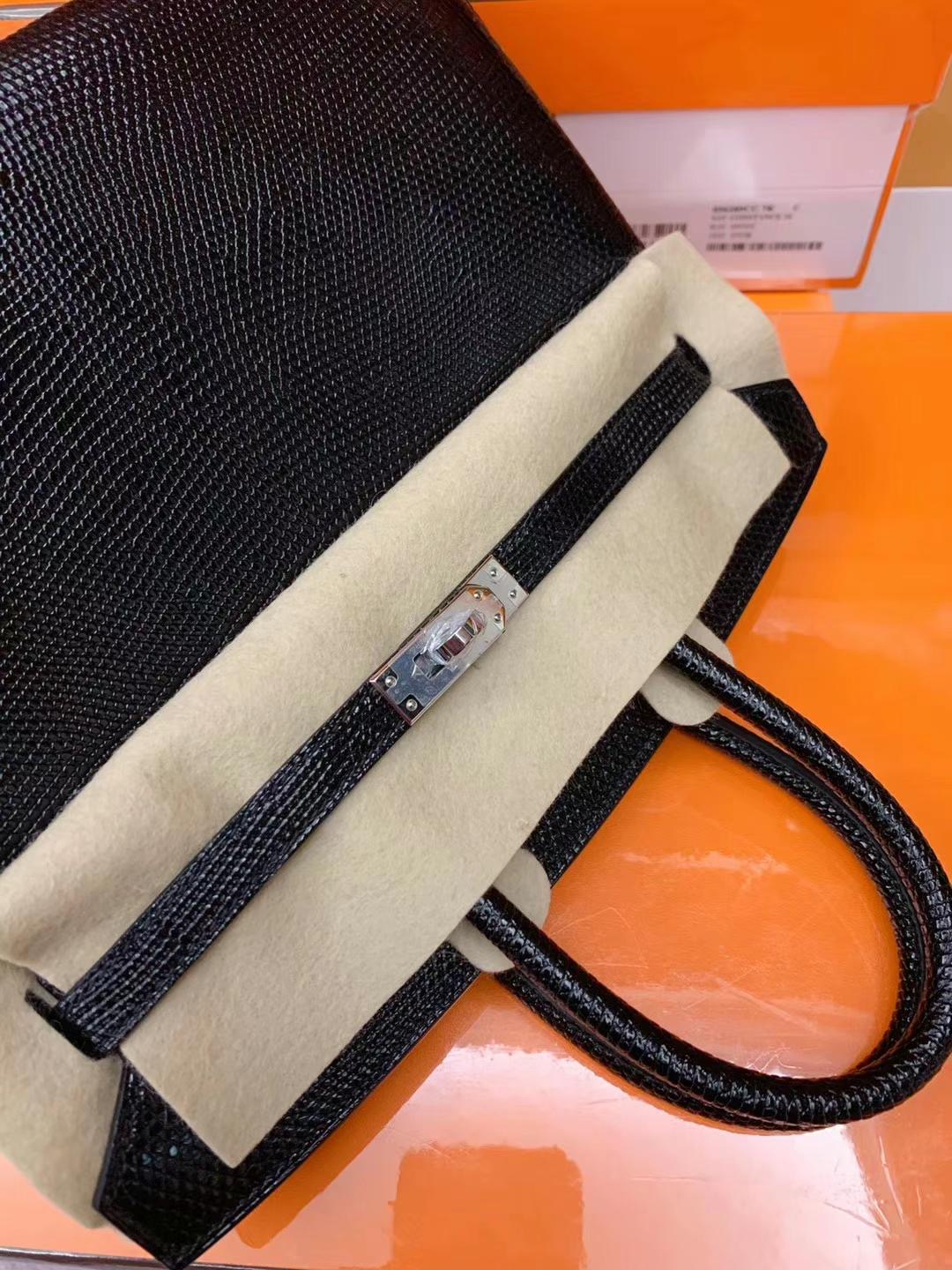 Kuwait HM BK 25cm Lizard