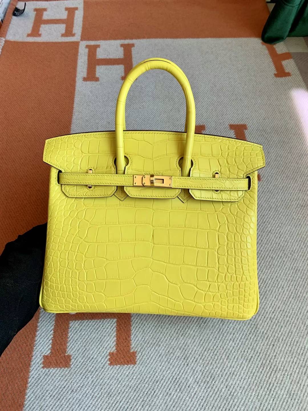 California USA HM BK 25cm Matter alligator crocodile M9 Mimosa GHW