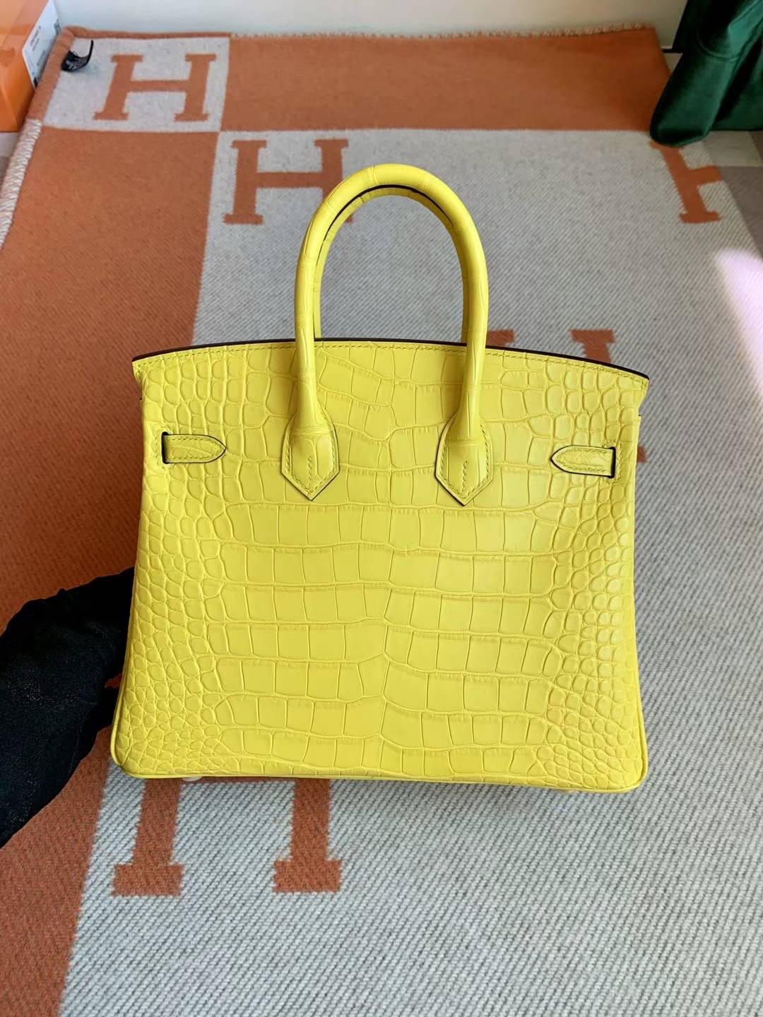California USA HM BK 25cm Matter alligator crocodile M9 Mimosa GHW