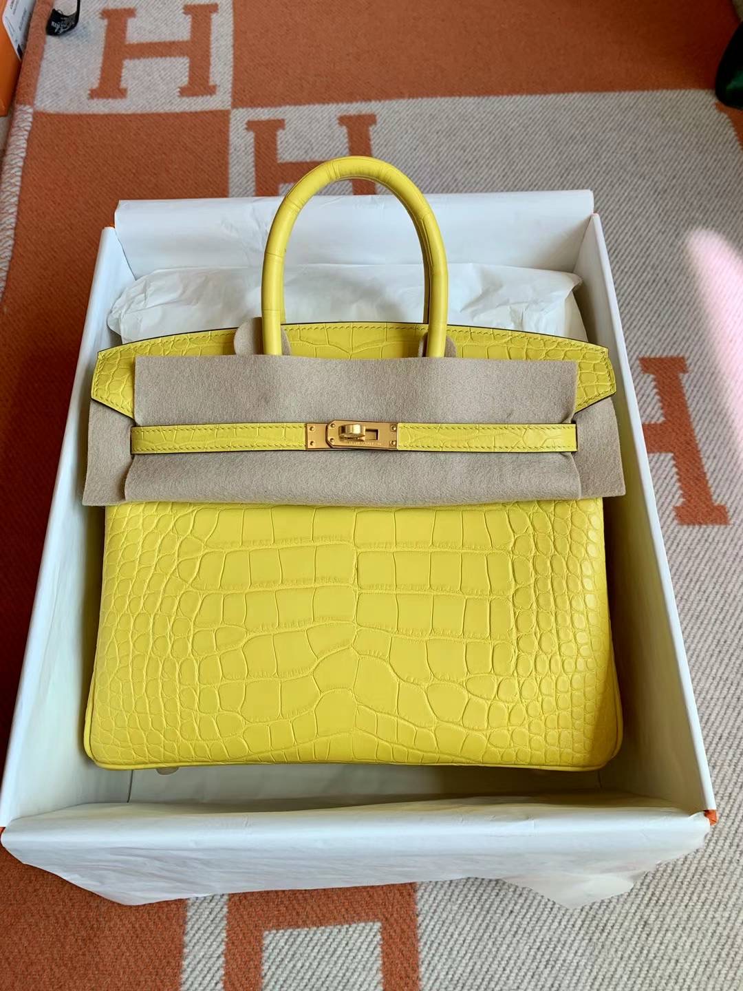California USA HM BK 25cm Matter alligator crocodile M9 Mimosa GHW