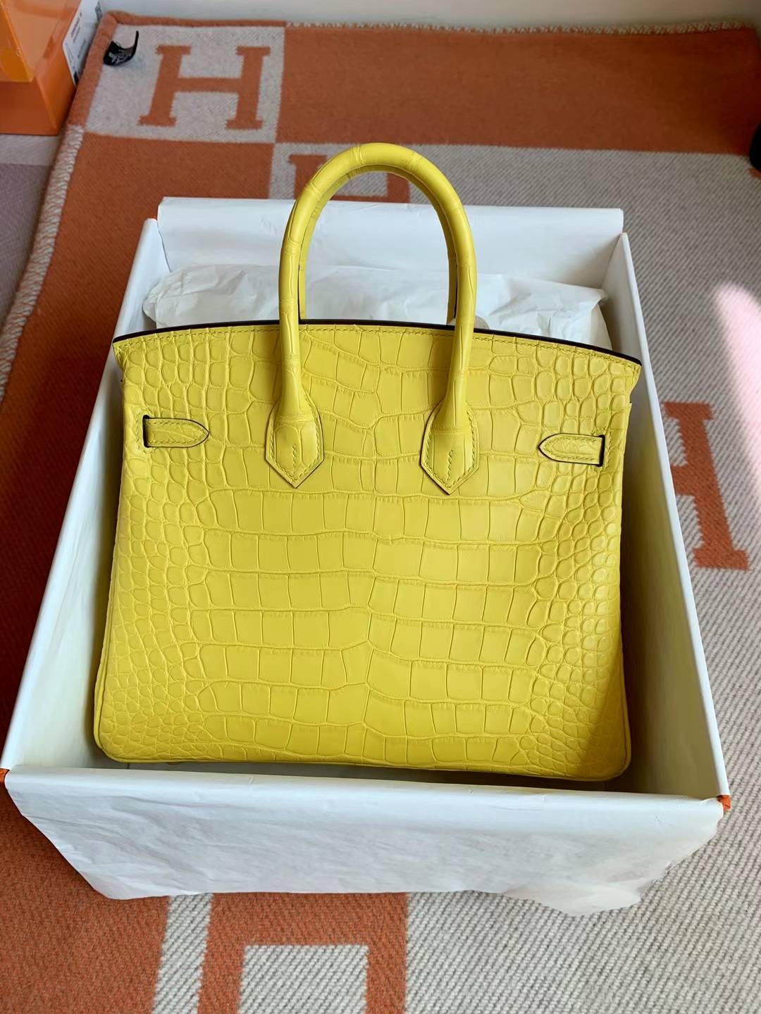 California USA HM BK 25cm Matter alligator crocodile M9 Mimosa GHW