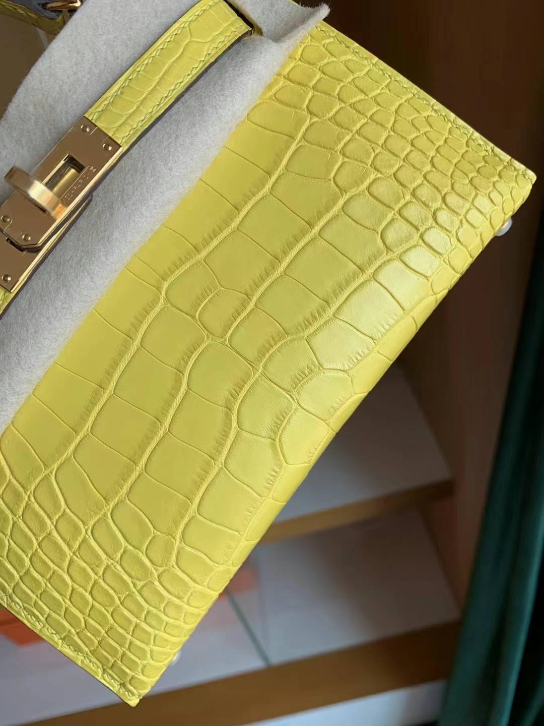 Mini kl mimosa M2 金盏花黄 🌼🌼🌼 雾面 alligator crocodile 🐊 绝对极品！今年M2有多火