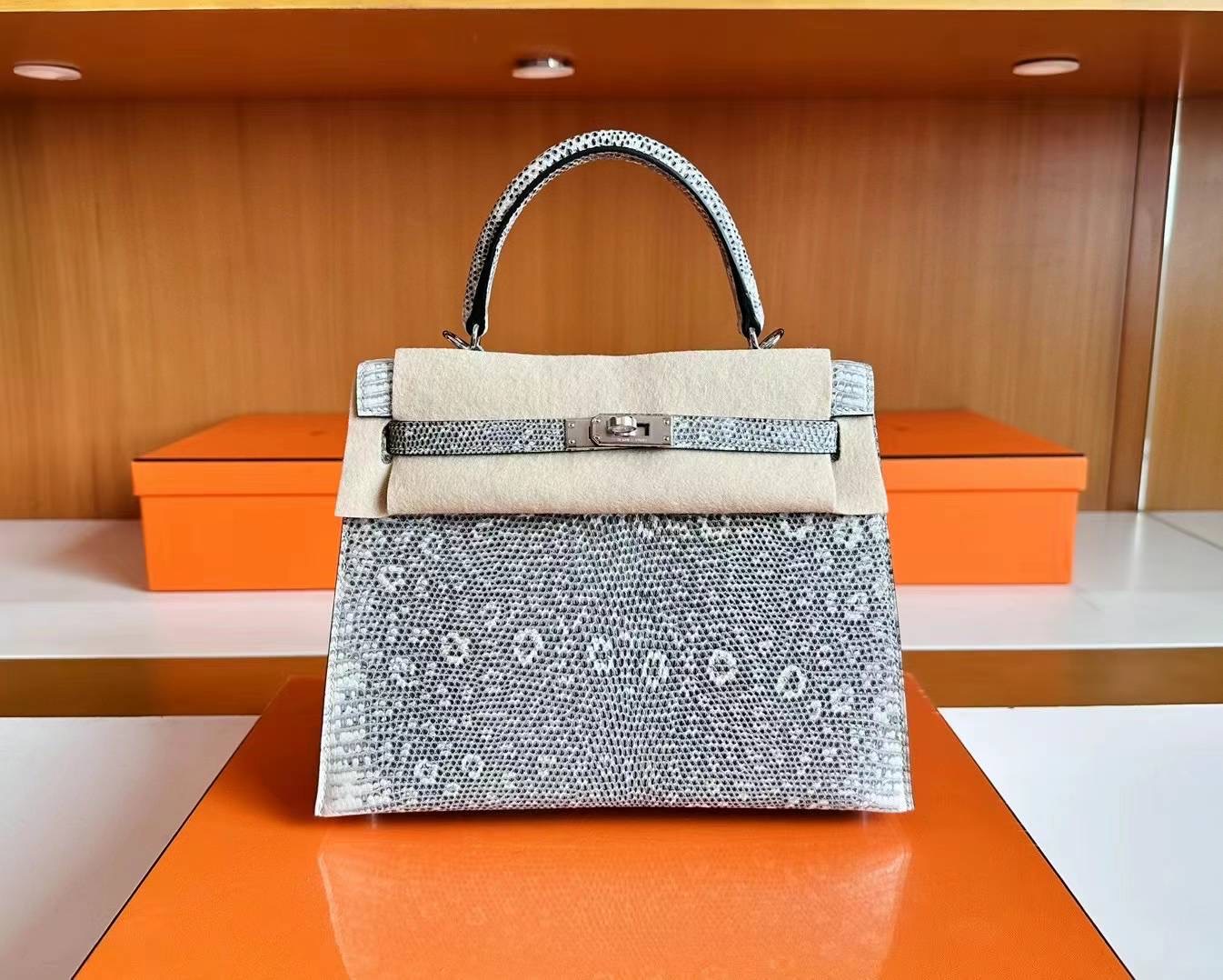 United Arab Emirates HM KL 25cm Lizard 01雪花色