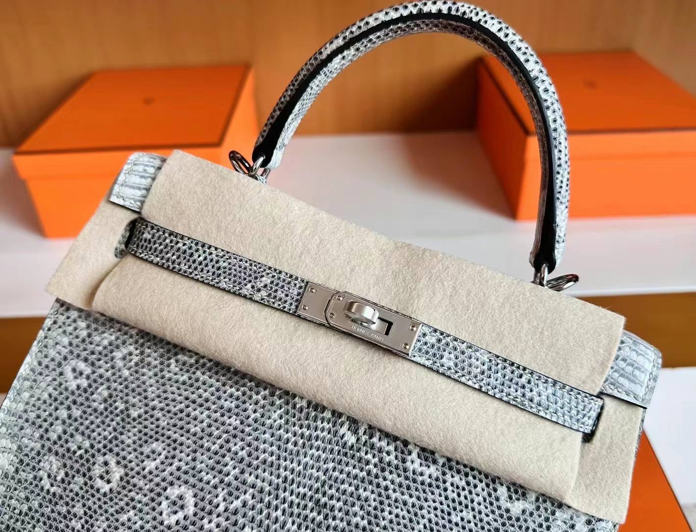 United Arab Emirates HM KL 25cm Lizard 01雪花色