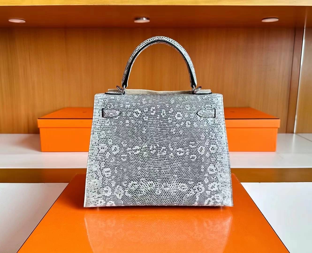United Arab Emirates HM KL 25cm Lizard 01雪花色