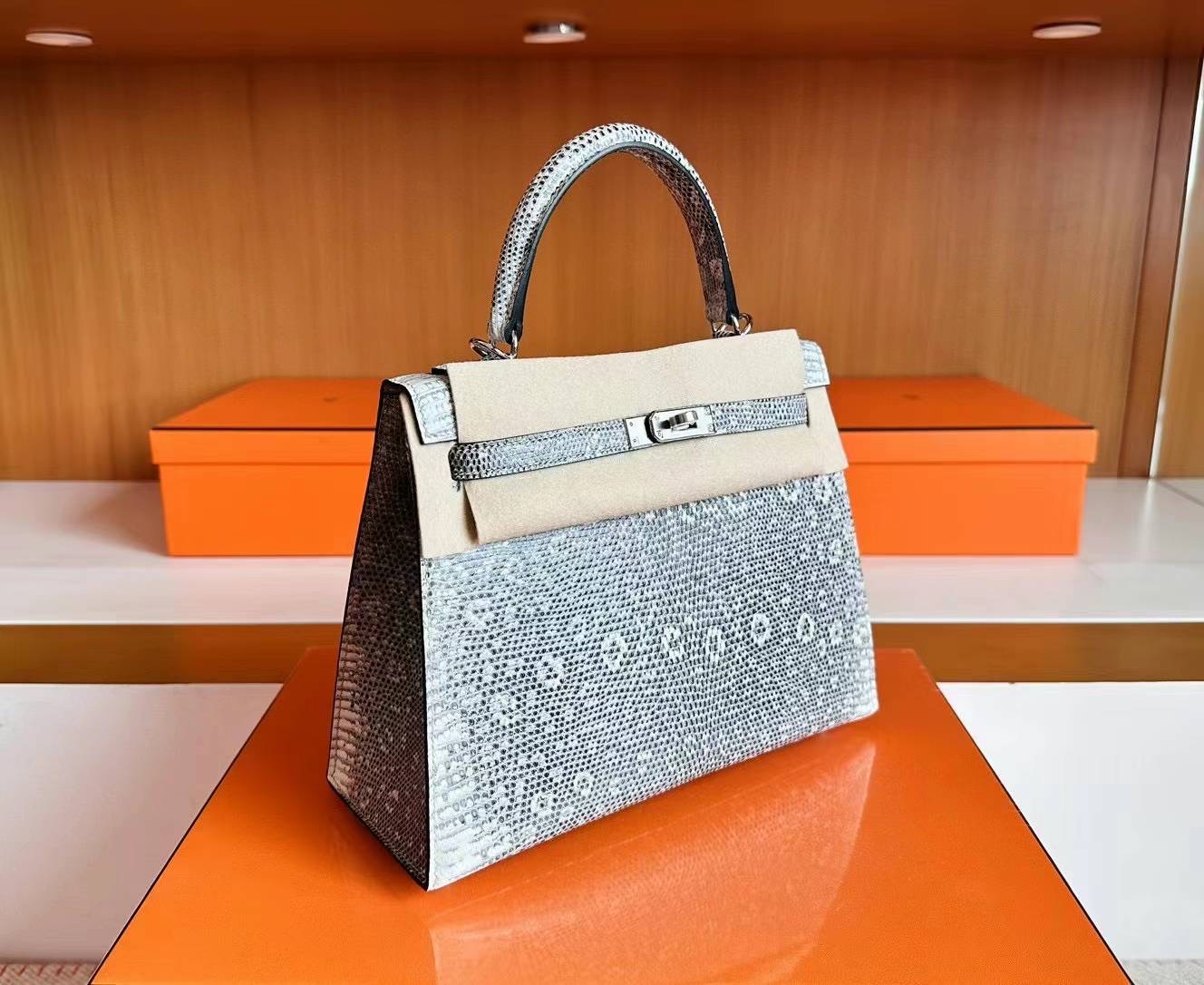 United Arab Emirates HM KL 25cm Lizard 01雪花色