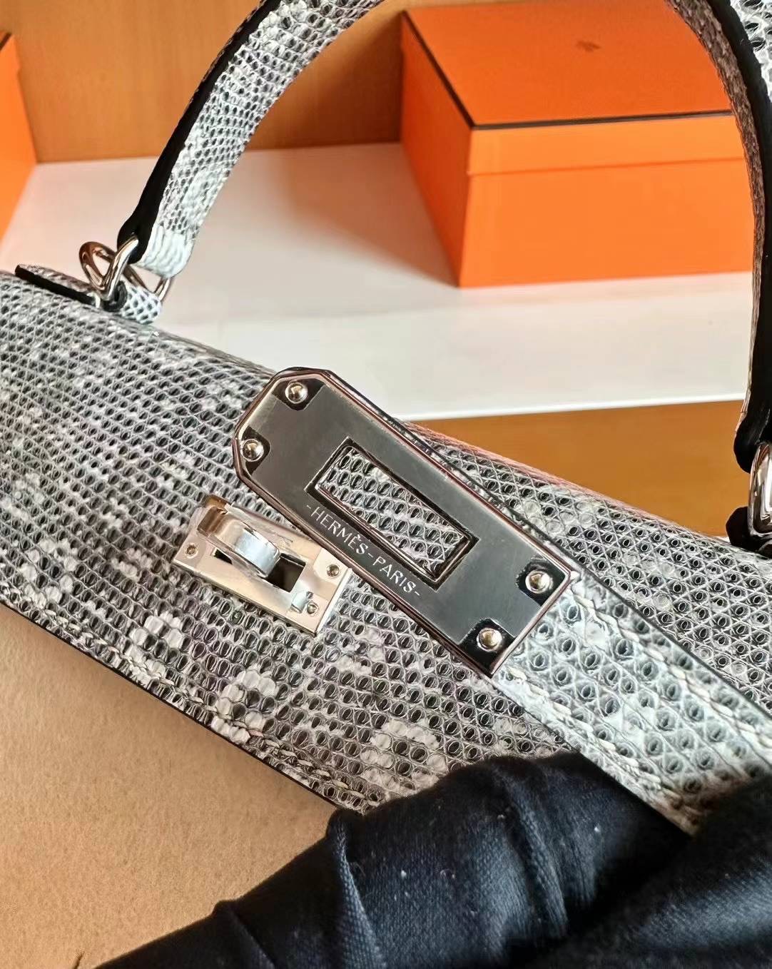 United Arab Emirates HM KL 25cm Lizard 01雪花色