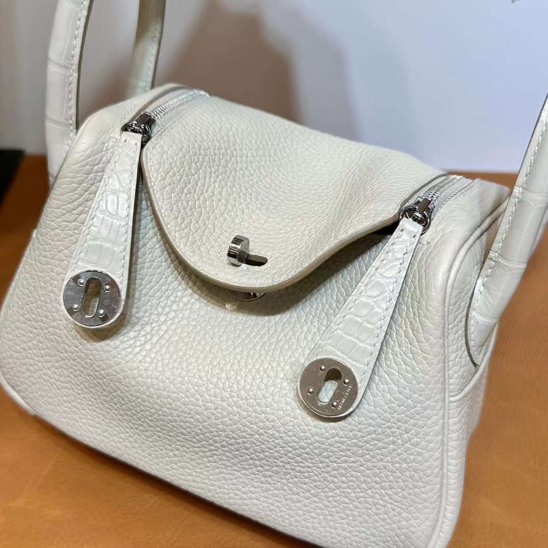 Mini LD 19cm Touch Clemence/雾面美洲鳄鱼 8L Beton 冰川白 银扣 Phw