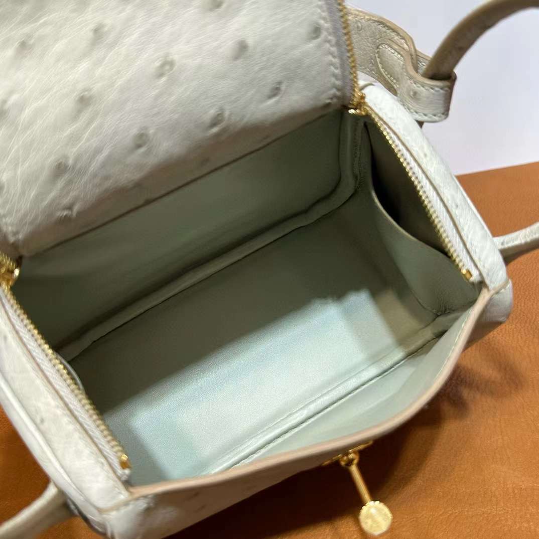 Mini LD 19cm Ostrich Ck80 gris perle 珍珠灰 金扣 顶级工艺 全手工缝 Ghw