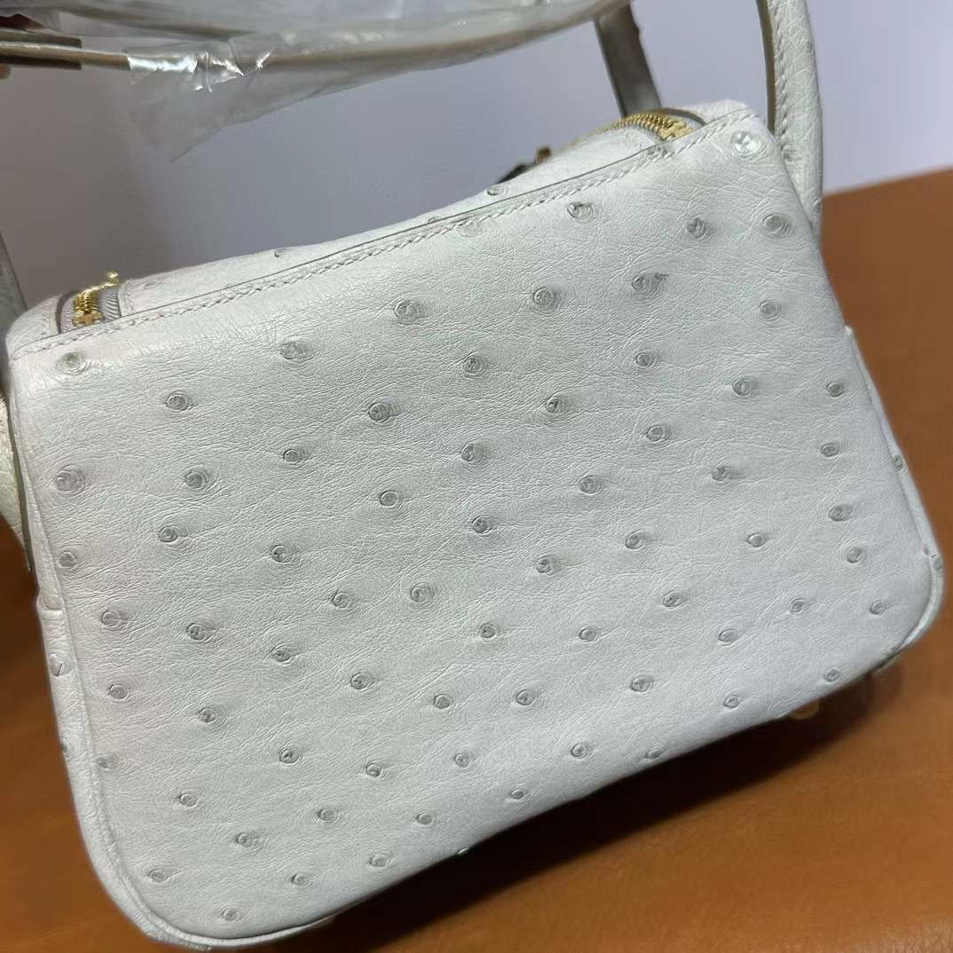 Mini LD 19cm Ostrich Ck80 gris perle 珍珠灰 金扣 顶级工艺 全手工缝 Ghw