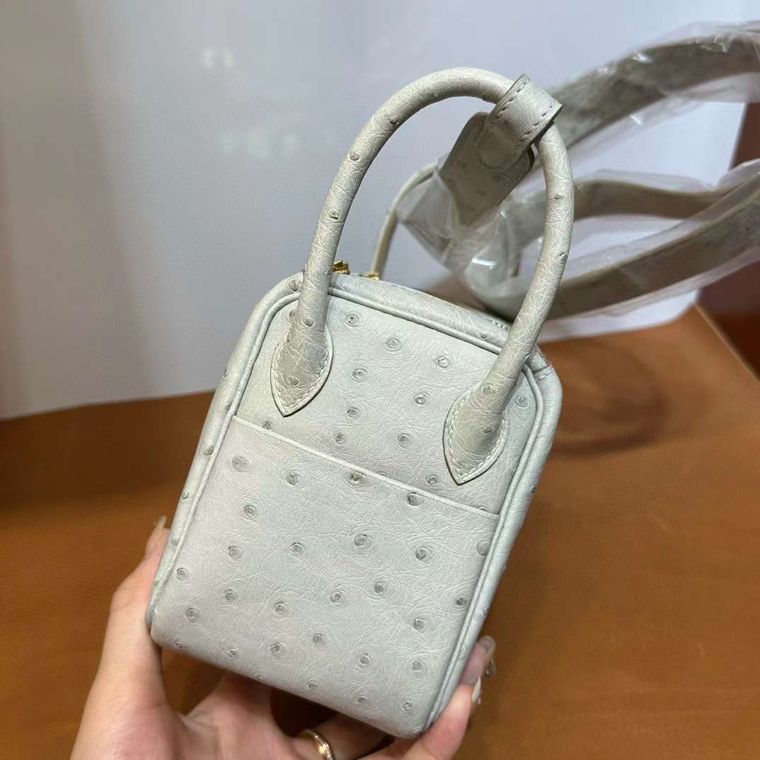 Mini LD 19cm Ostrich Ck80 gris perle 珍珠灰 金扣 顶级工艺 全手工缝 Ghw
