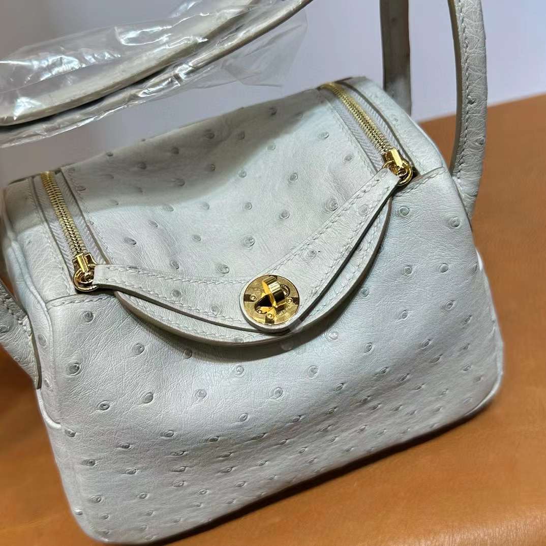 Mini LD 19cm Ostrich Ck80 gris perle 珍珠灰 金扣 顶级工艺 全手工缝 Ghw