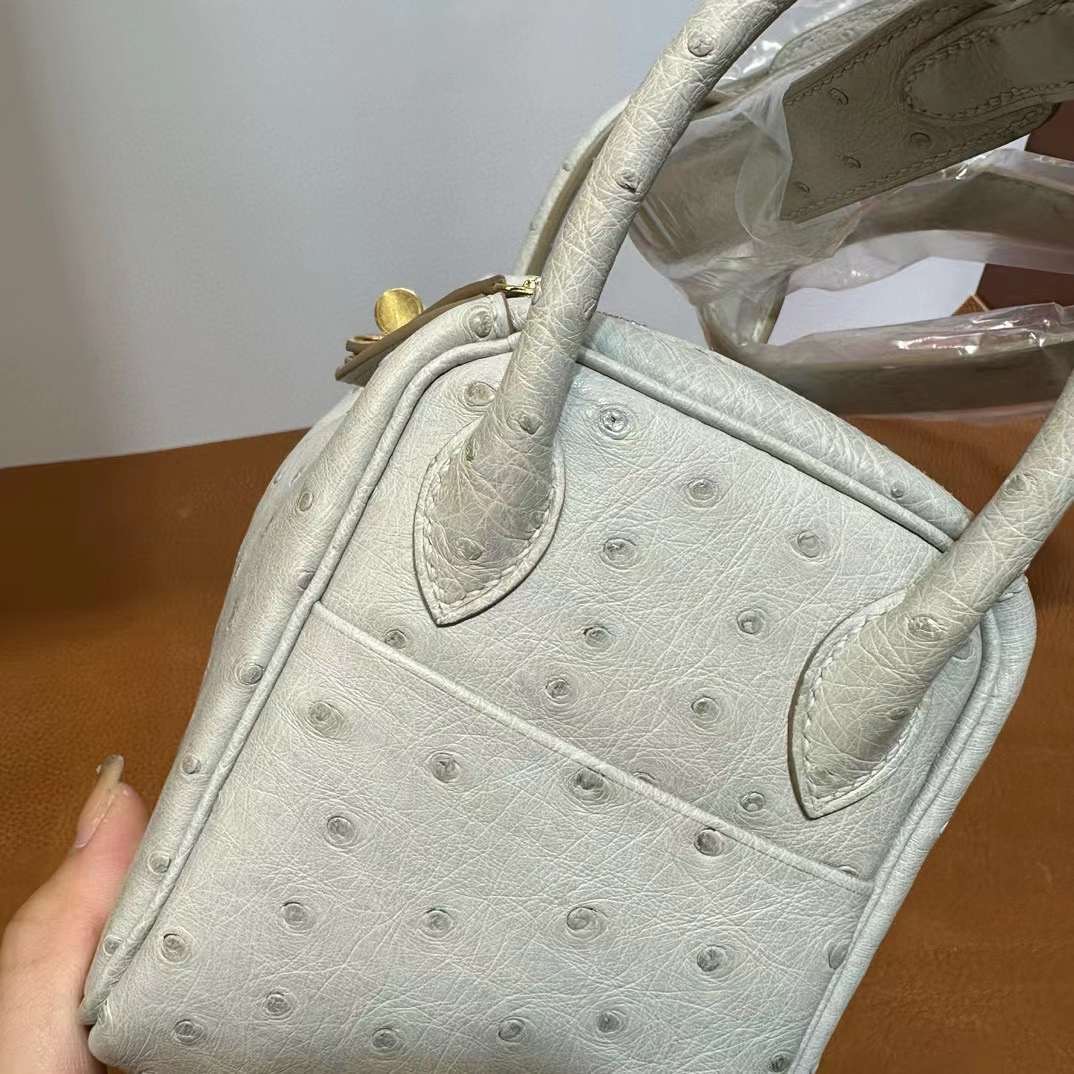 Mini LD 19cm Ostrich Ck80 gris perle 珍珠灰 金扣 顶级工艺 全手工缝 Ghw
