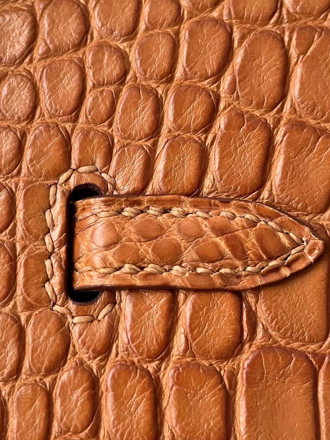 HM bk 20cm crocodile ck37 gold